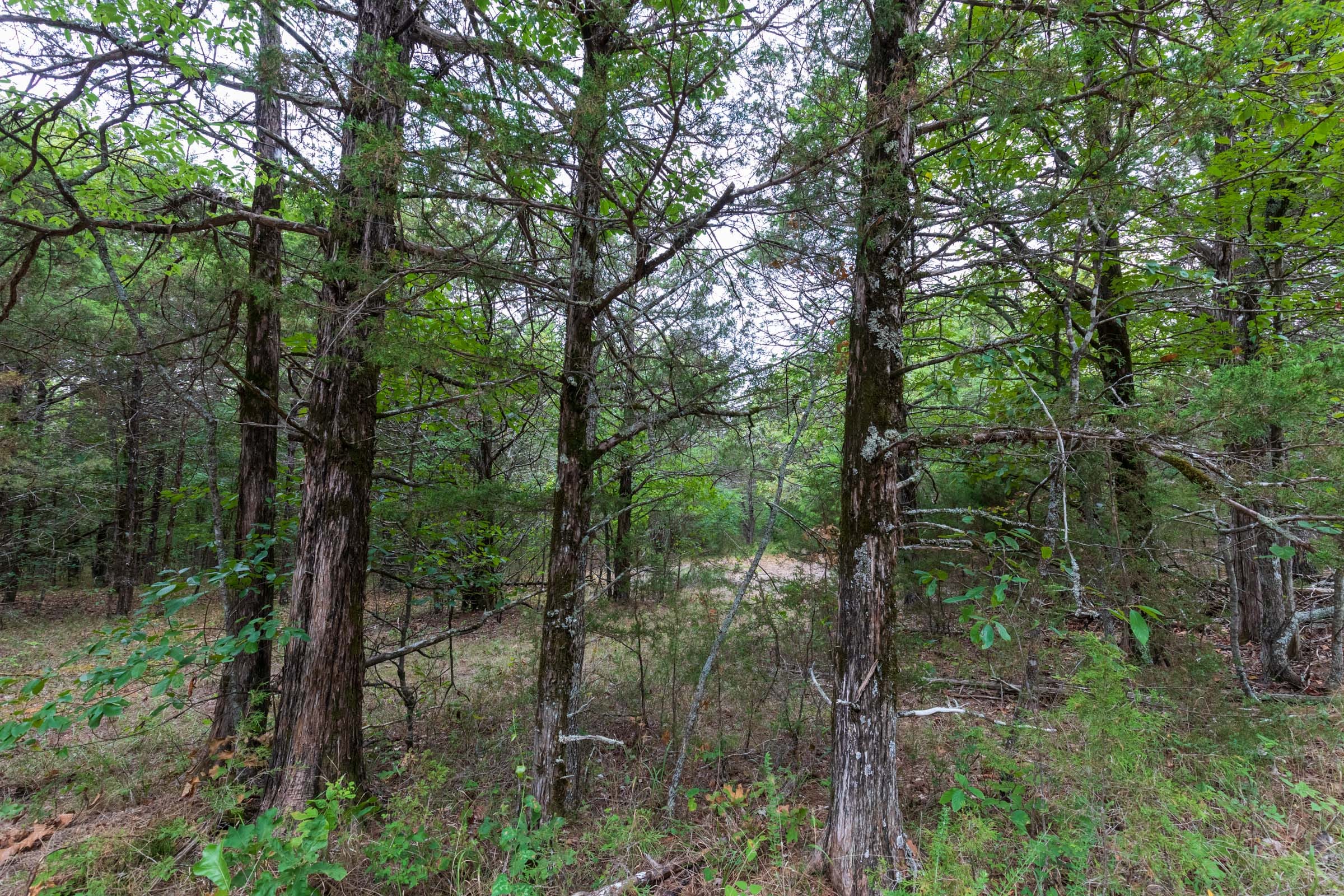 Heritage Bend Tract 38 photo 10