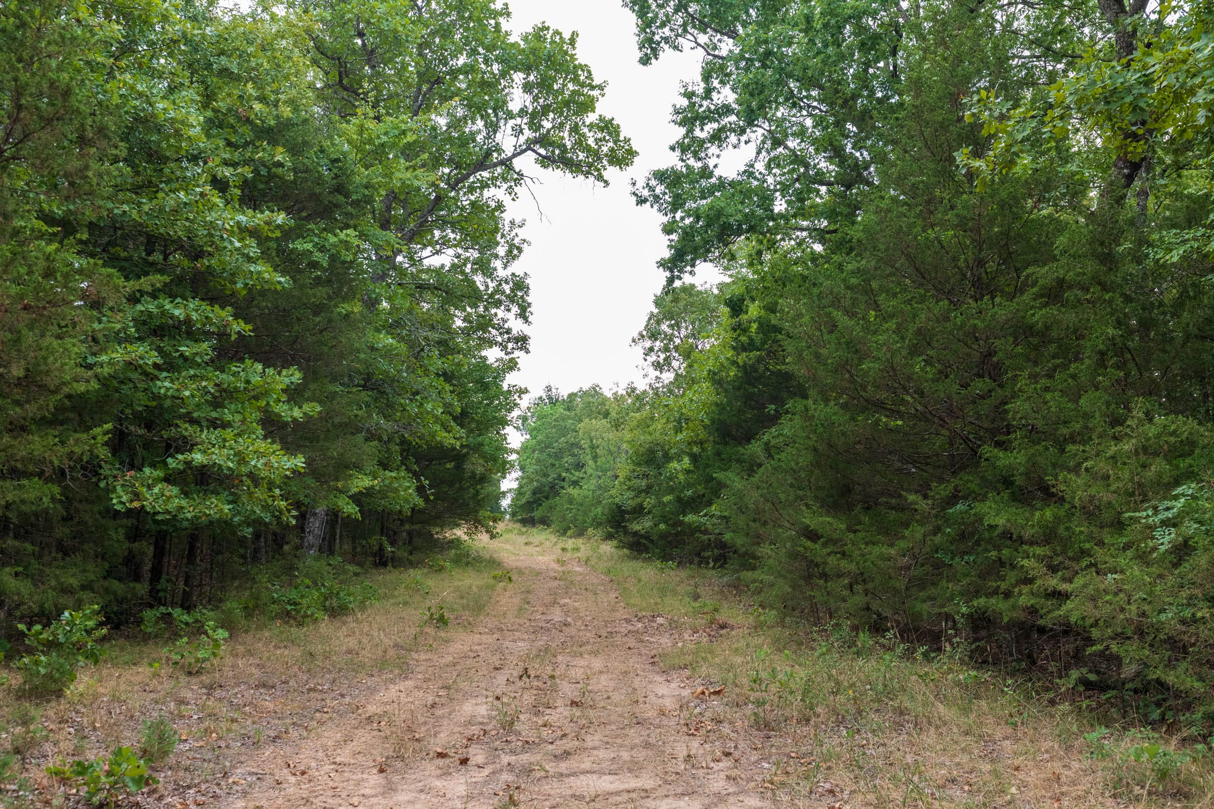 Heritage Bend Tract 38 photo 11