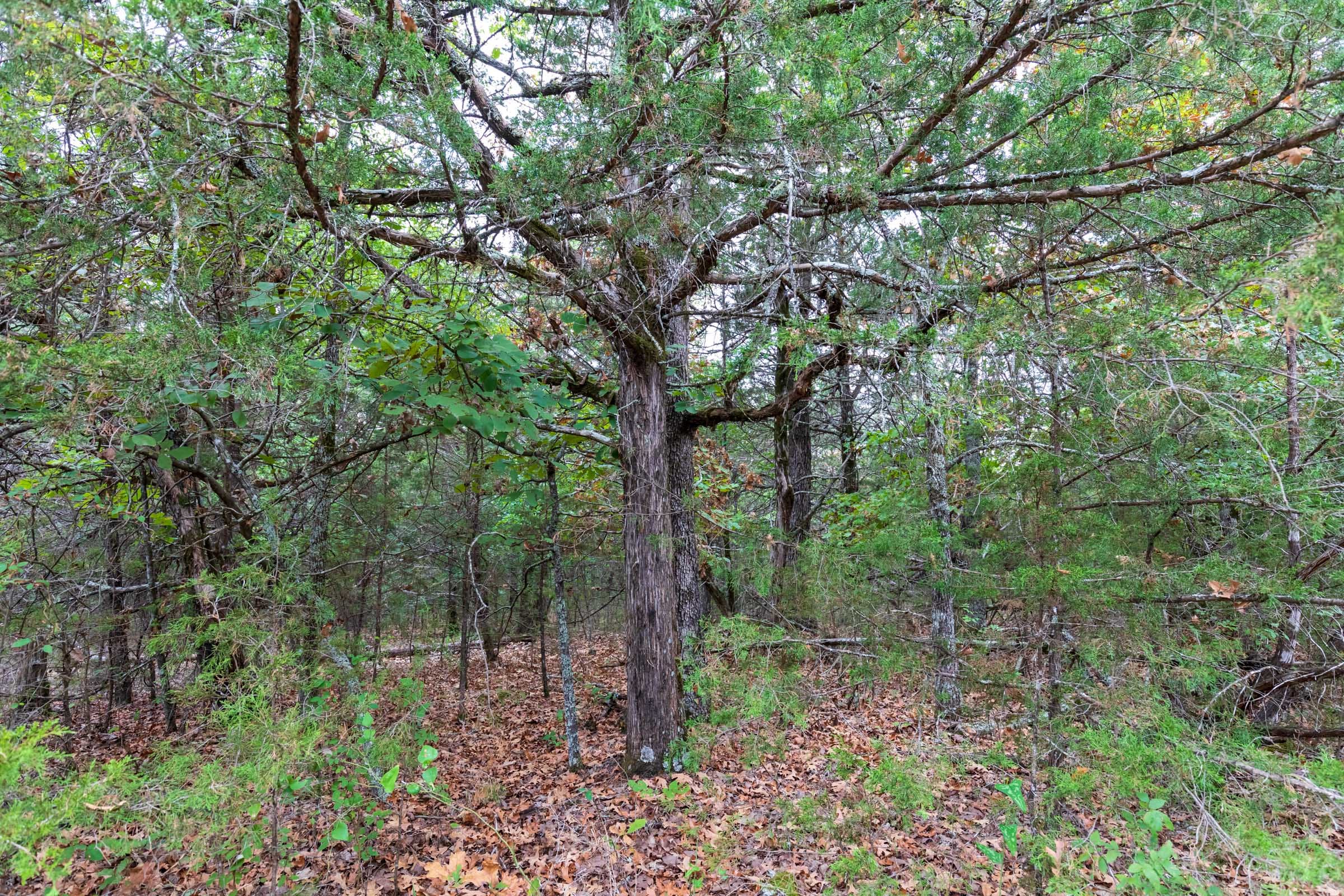 Heritage Bend Tract 38 photo 12
