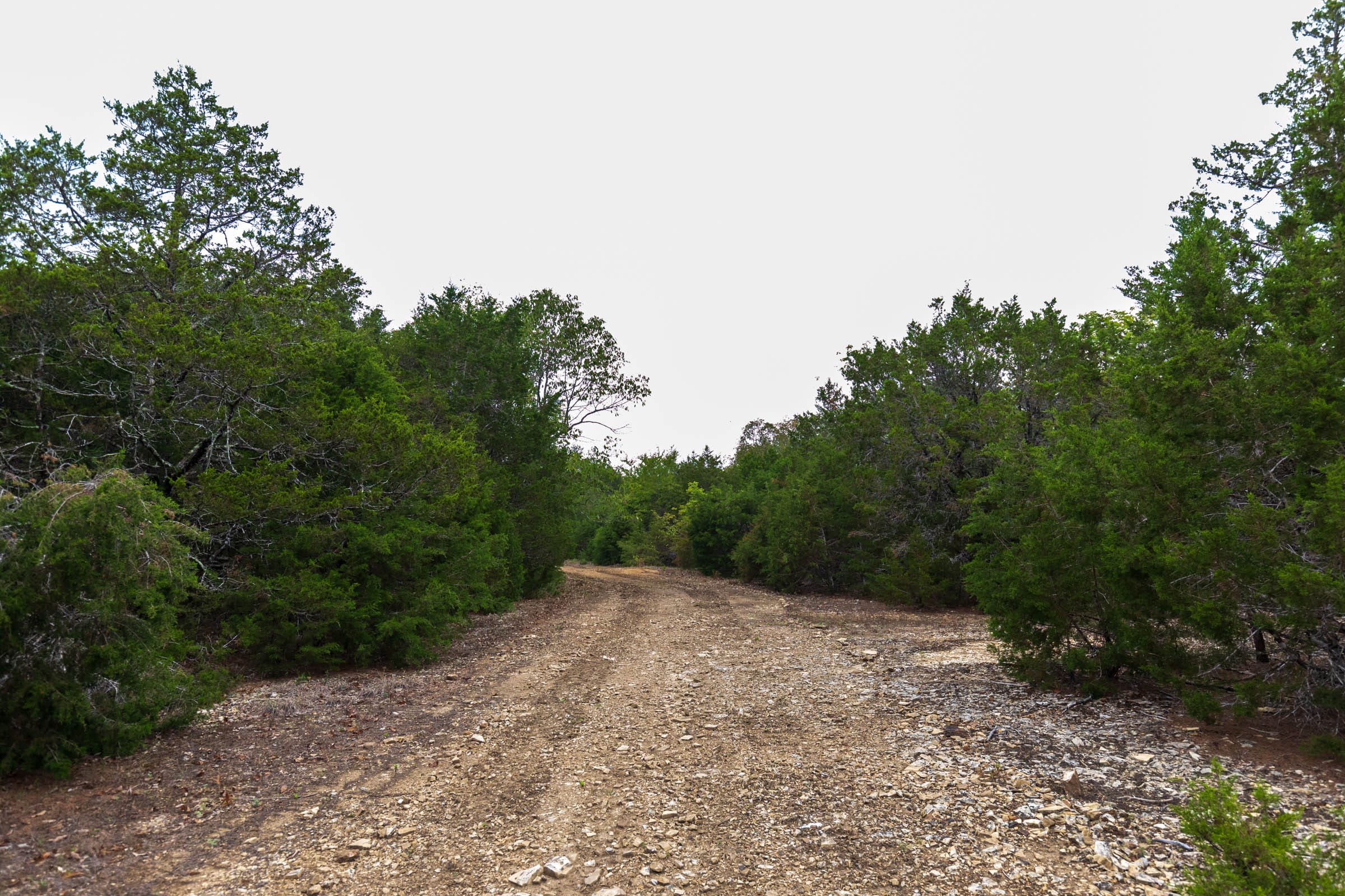 Heritage Bend Tract 38 photo 6