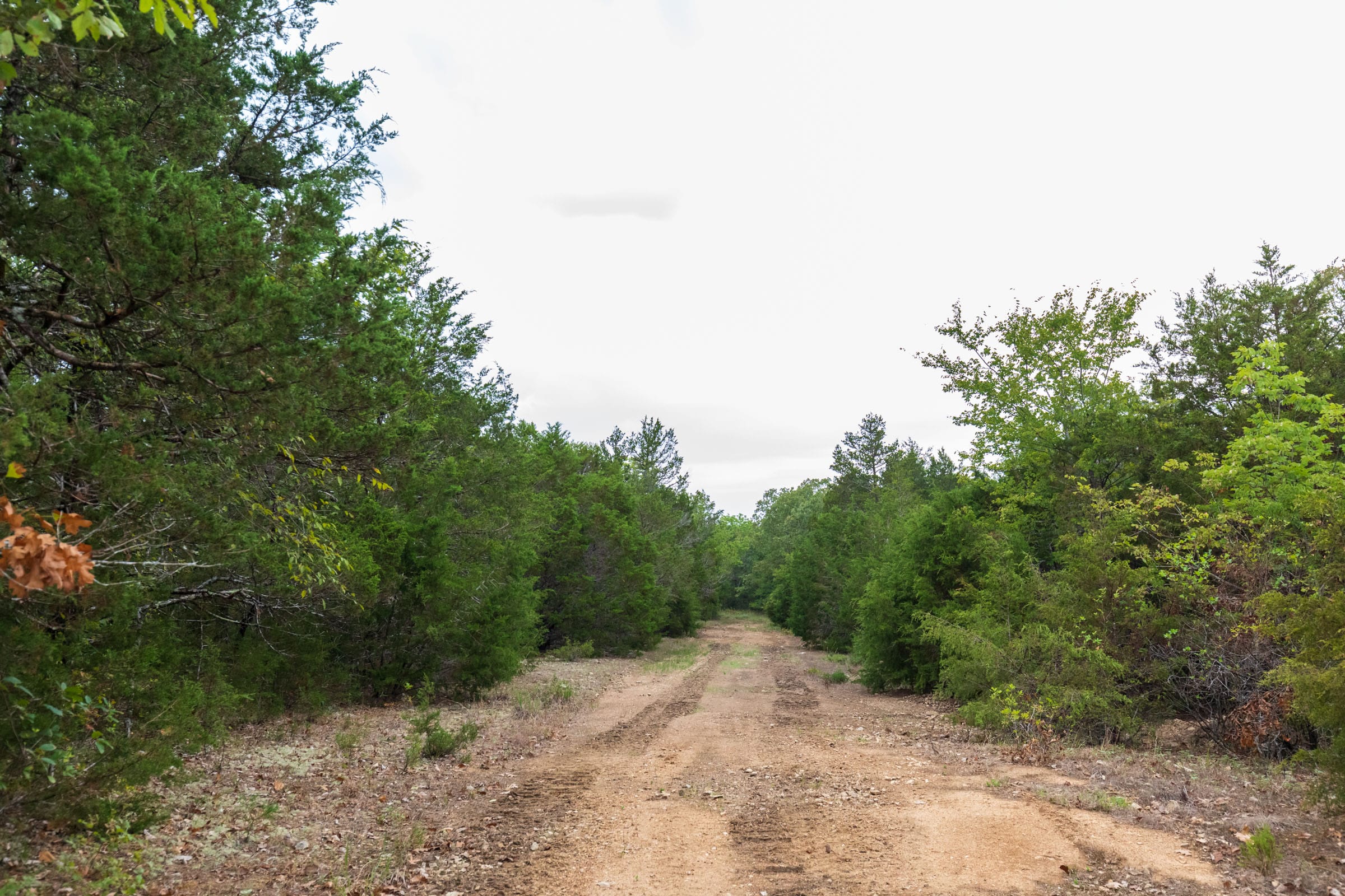 Heritage Bend Tract 38 photo 15