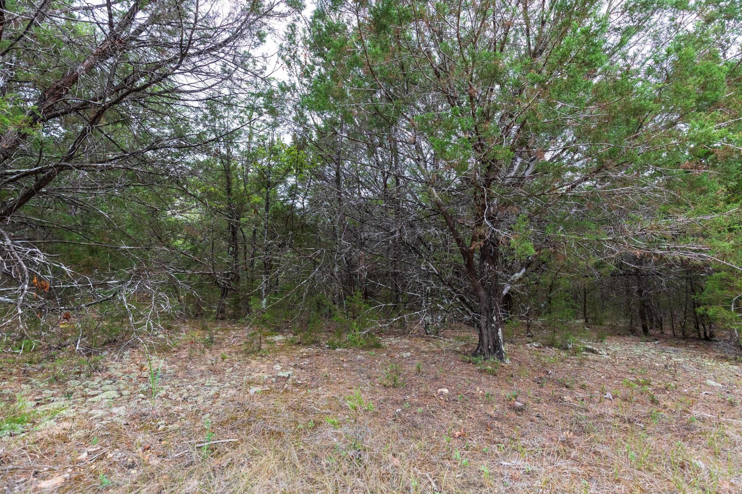 Heritage Bend Tract 38 photo 17