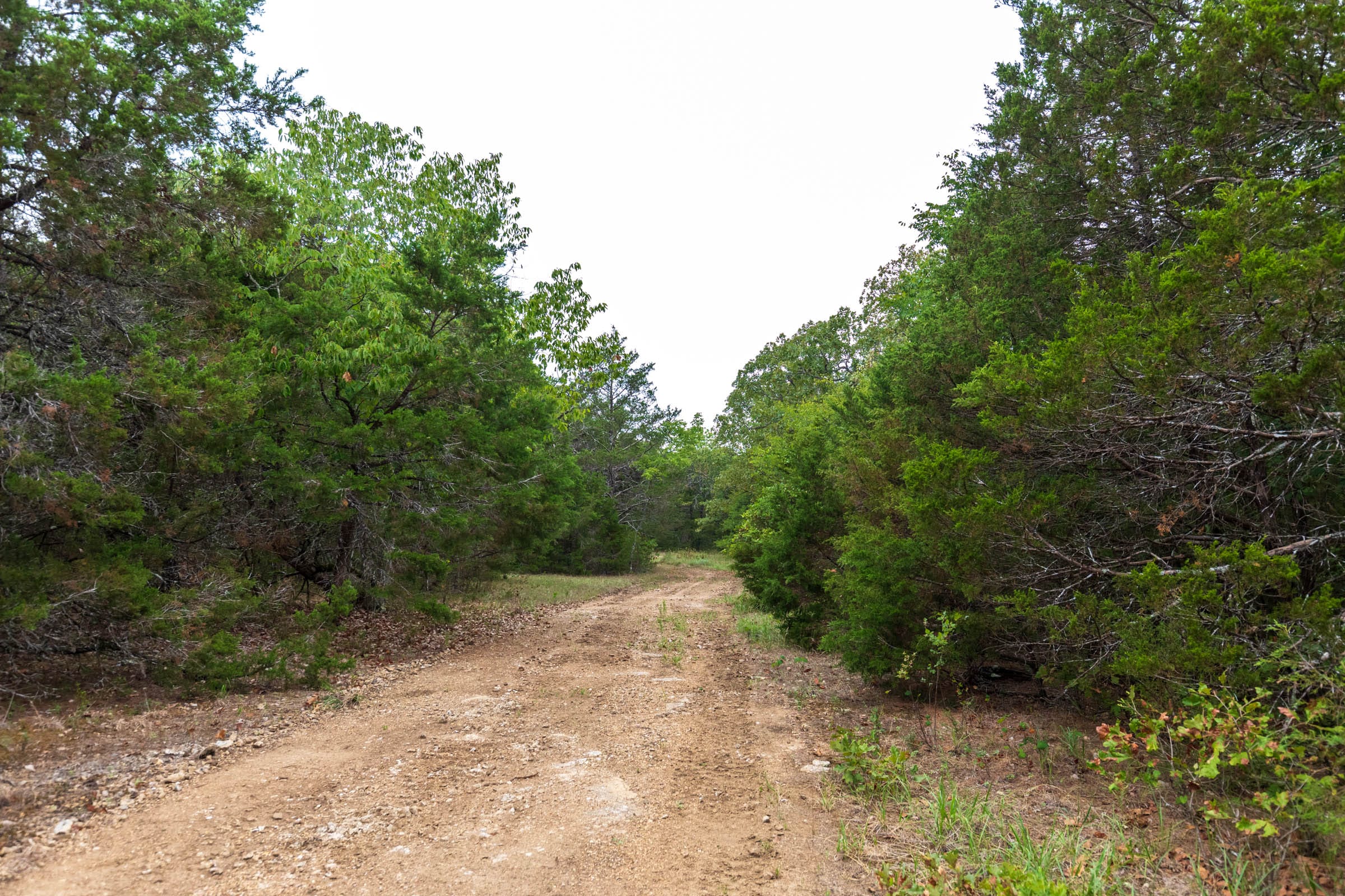 Heritage Bend Tract 38 photo 19