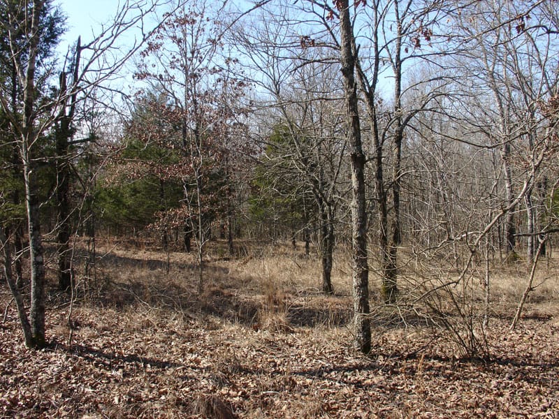 Tranquility Farms Tract 2 photo 2