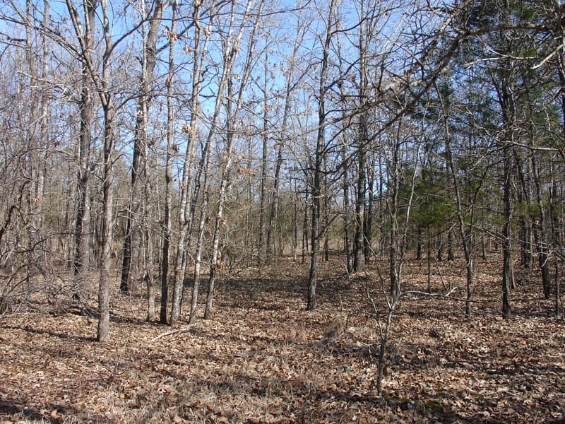Tranquility Farms Tract 2 photo 7