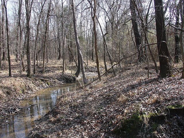 Tranquility Farms Tract 2 photo 8