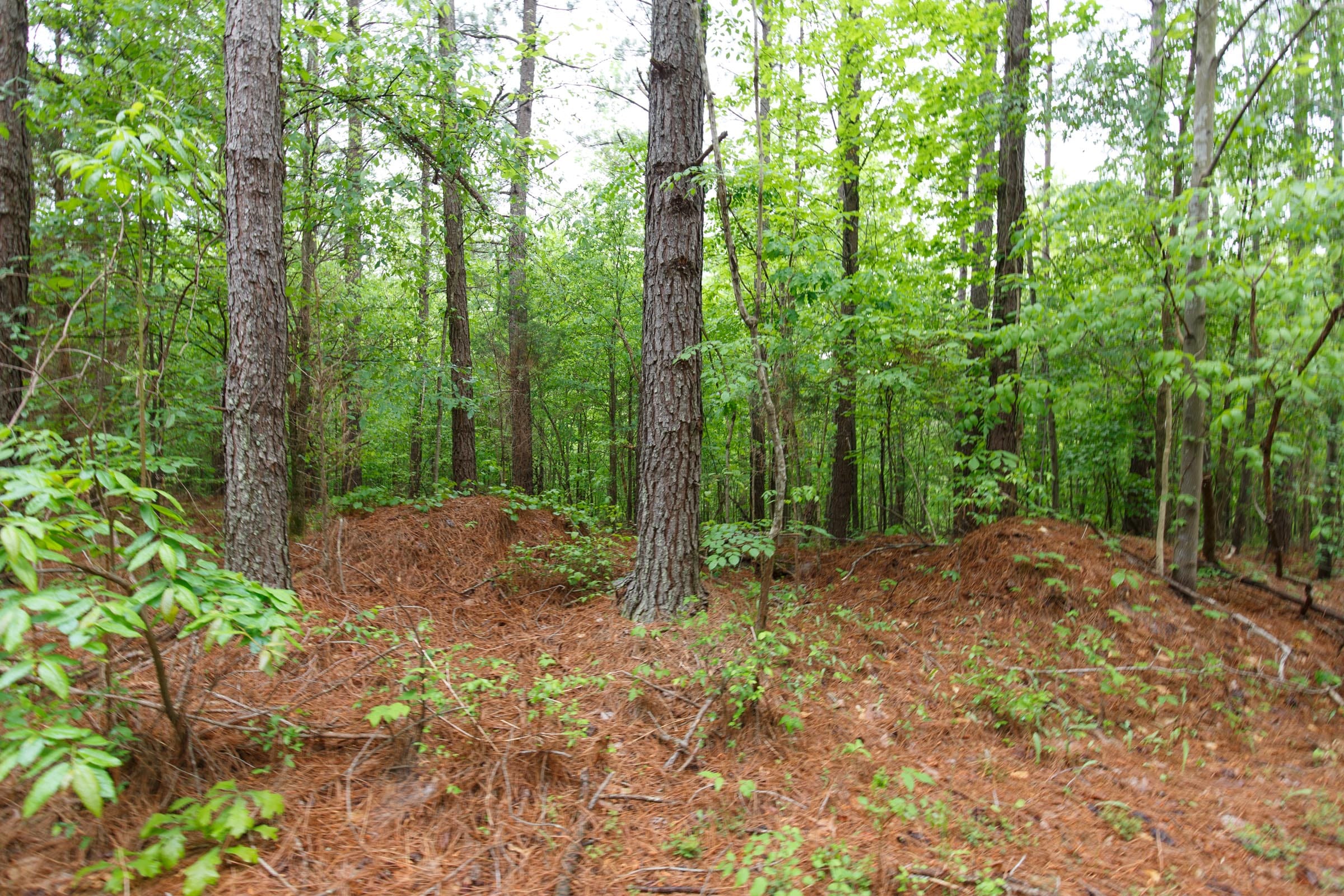 Red Barn Ranch Tract 23 photo 7
