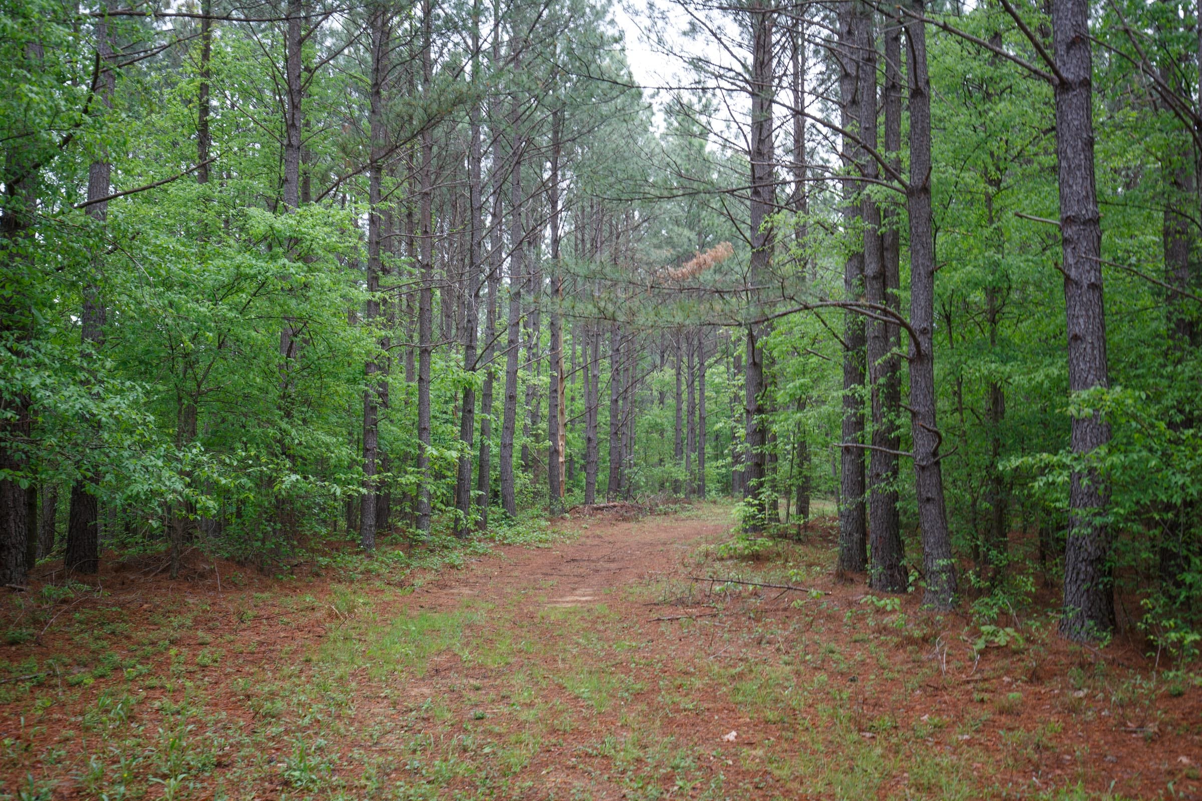 Red Barn Ranch Tract 23 photo 1