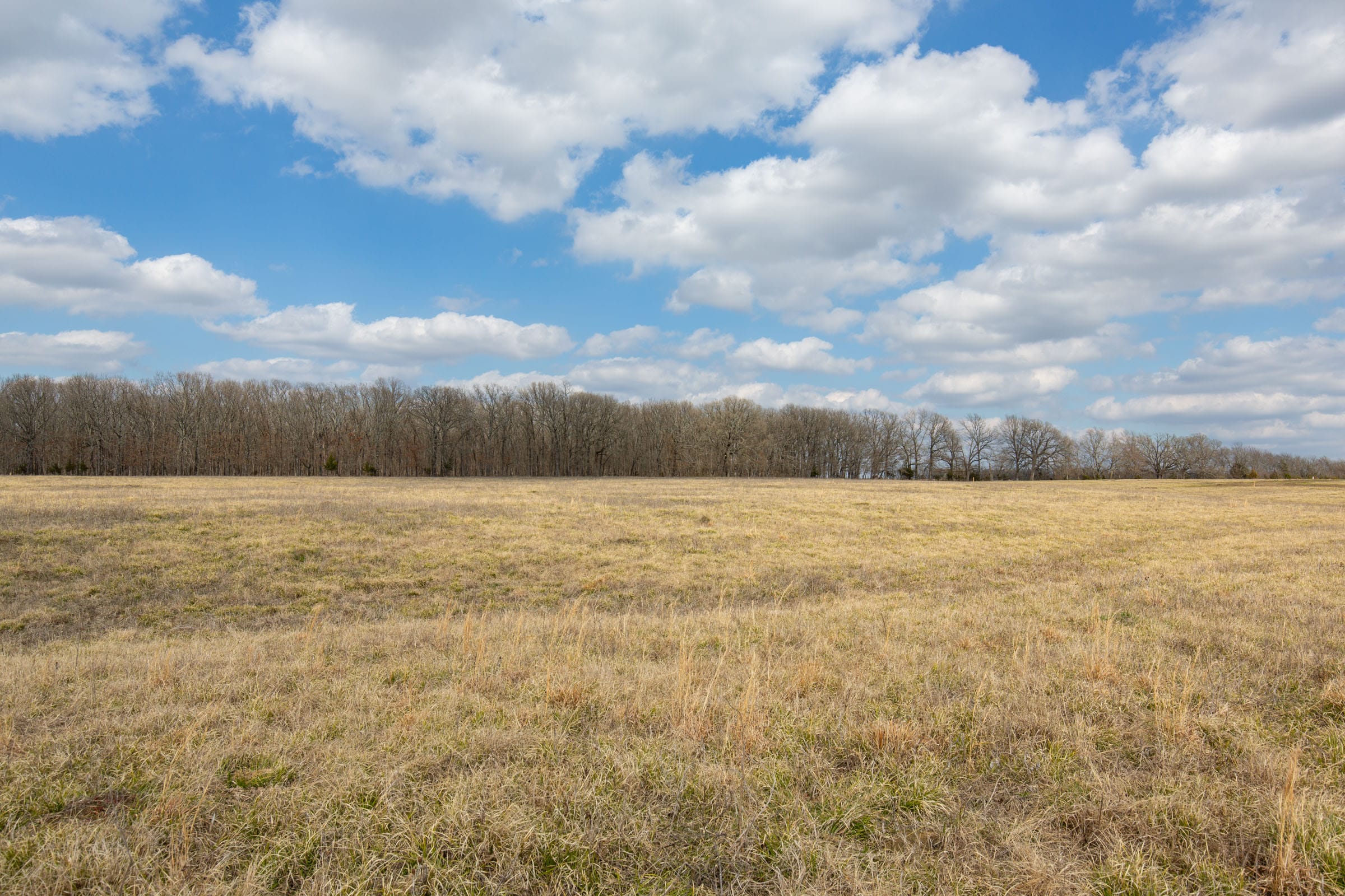 Wishing Star Ranch Tract 69 photo 2