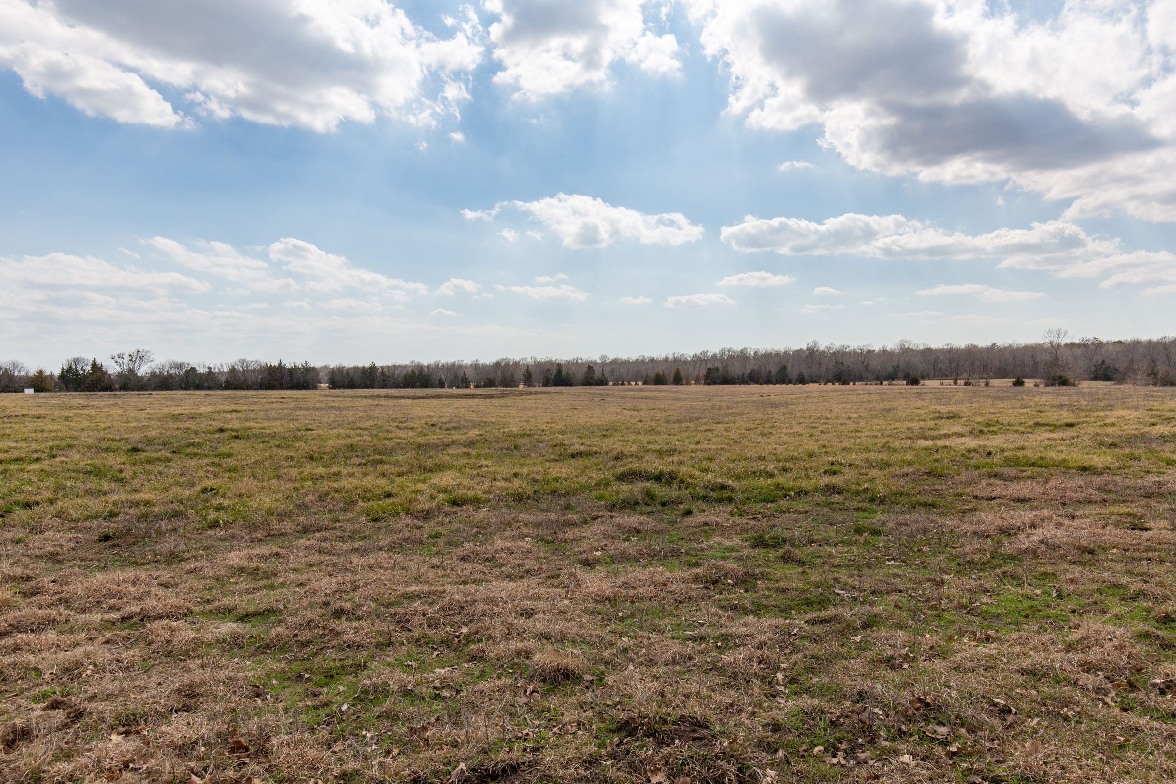 Wishing Star Ranch Tract 69 photo 4