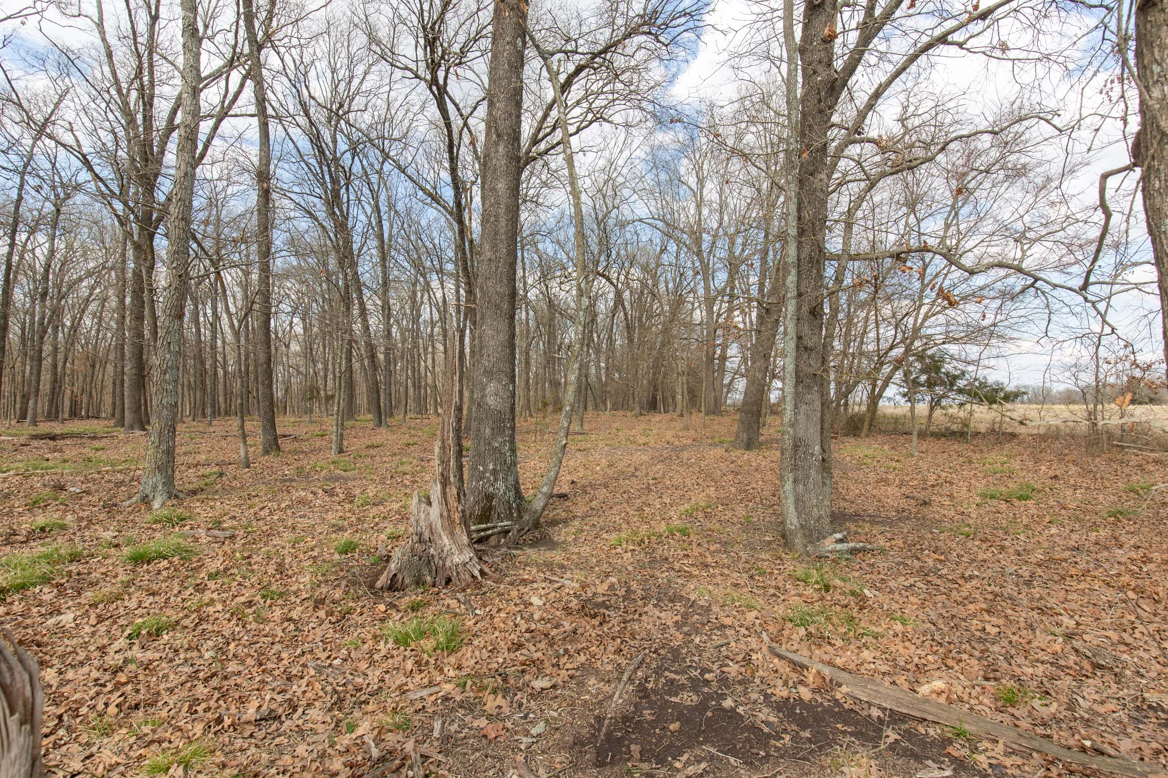 Wishing Star Ranch Tract 69 photo 5