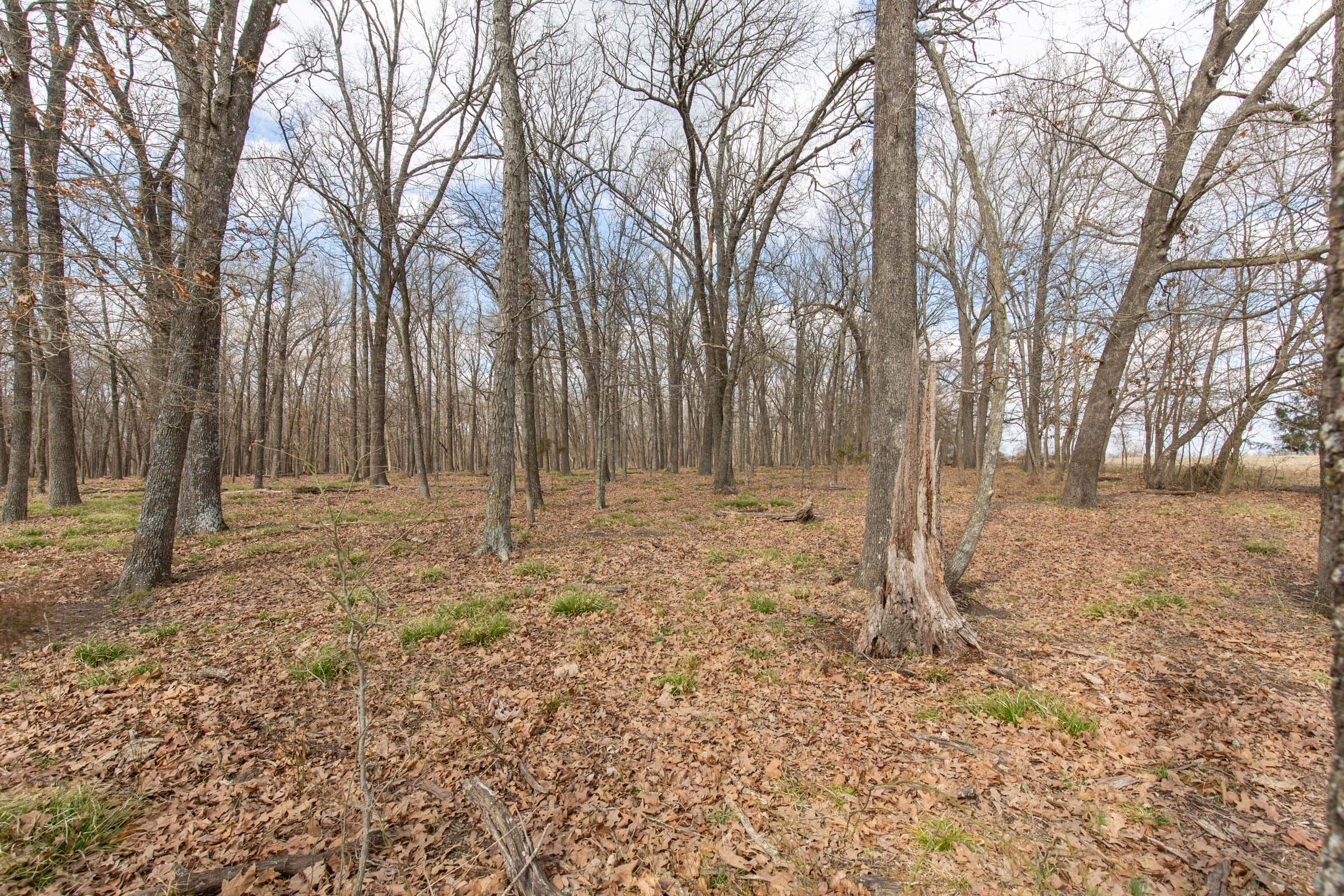 Wishing Star Ranch Tract 69 photo 6