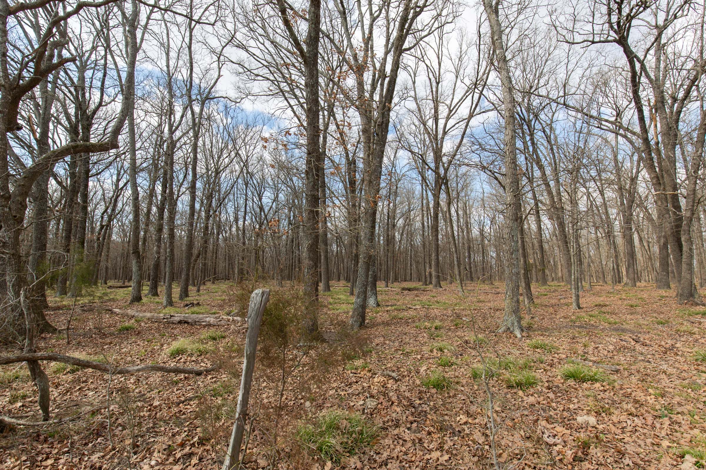 Wishing Star Ranch Tract 69 photo 7