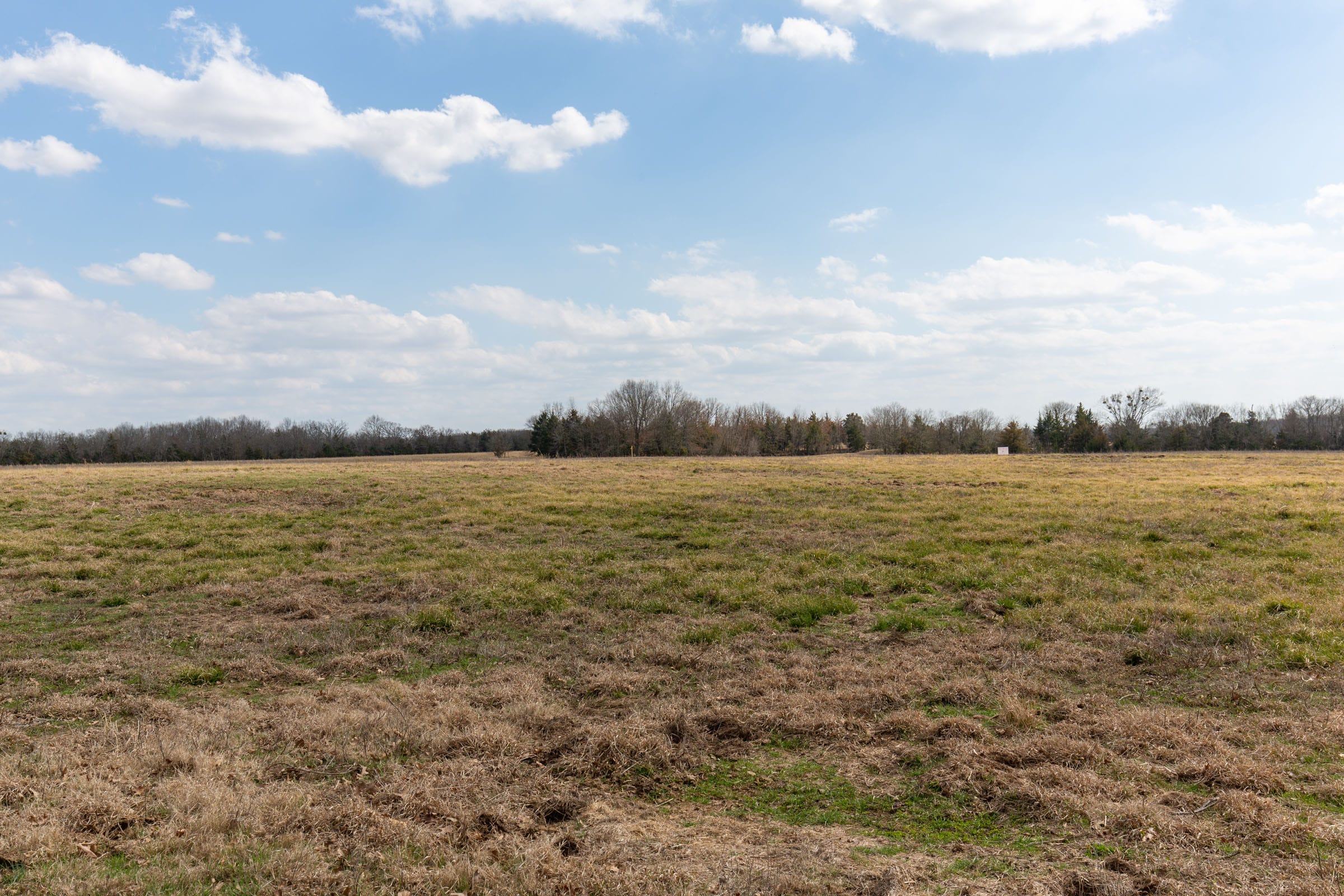 Wishing Star Ranch Tract 69 photo 8