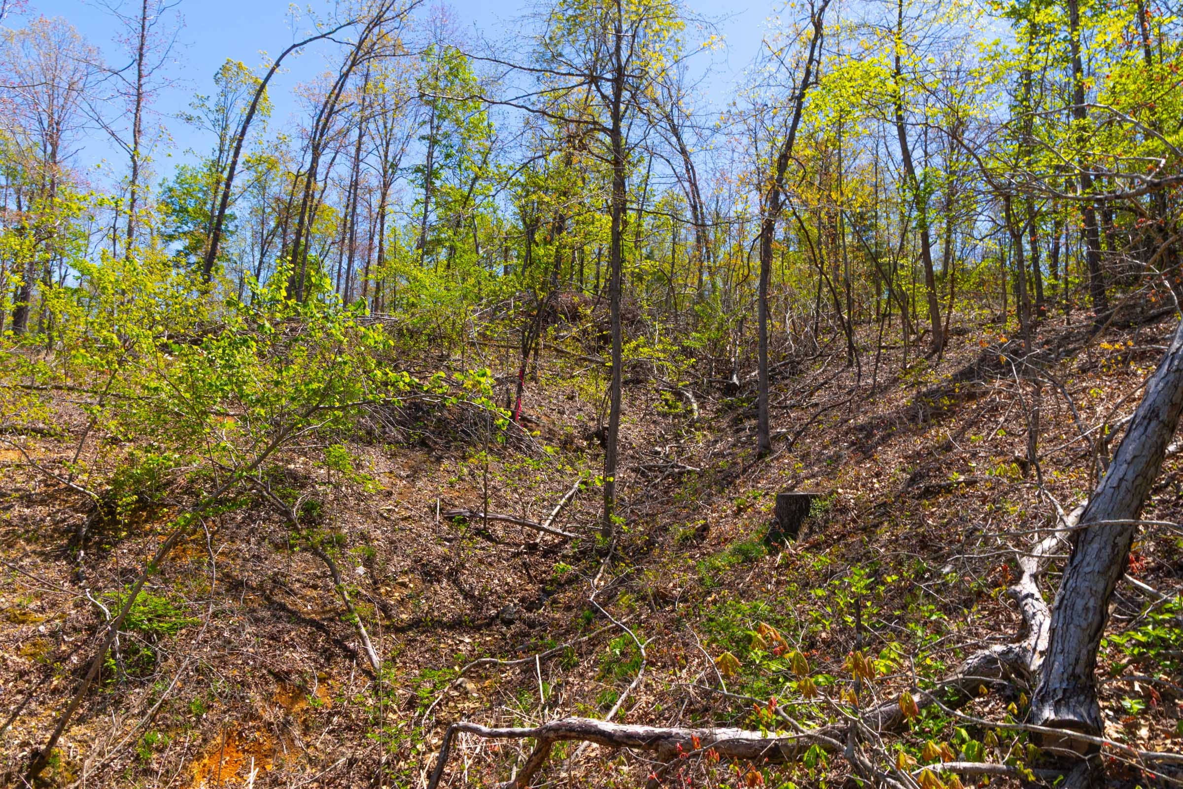 Lazybrook Tract 16 photo 10