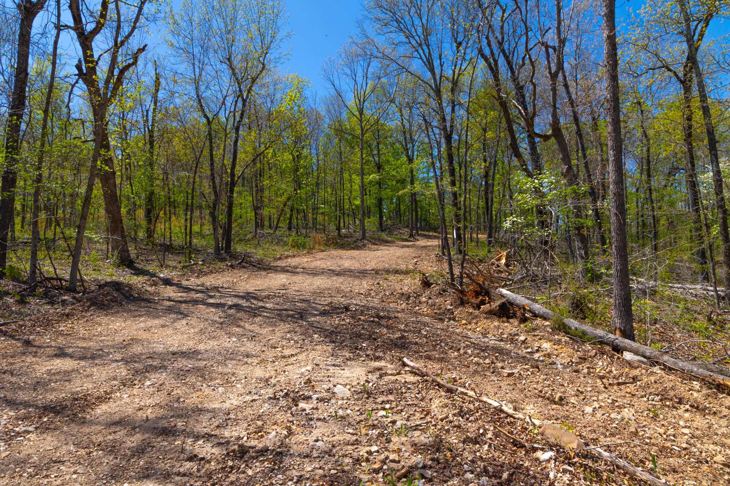 Lazybrook Tract 16 photo 2