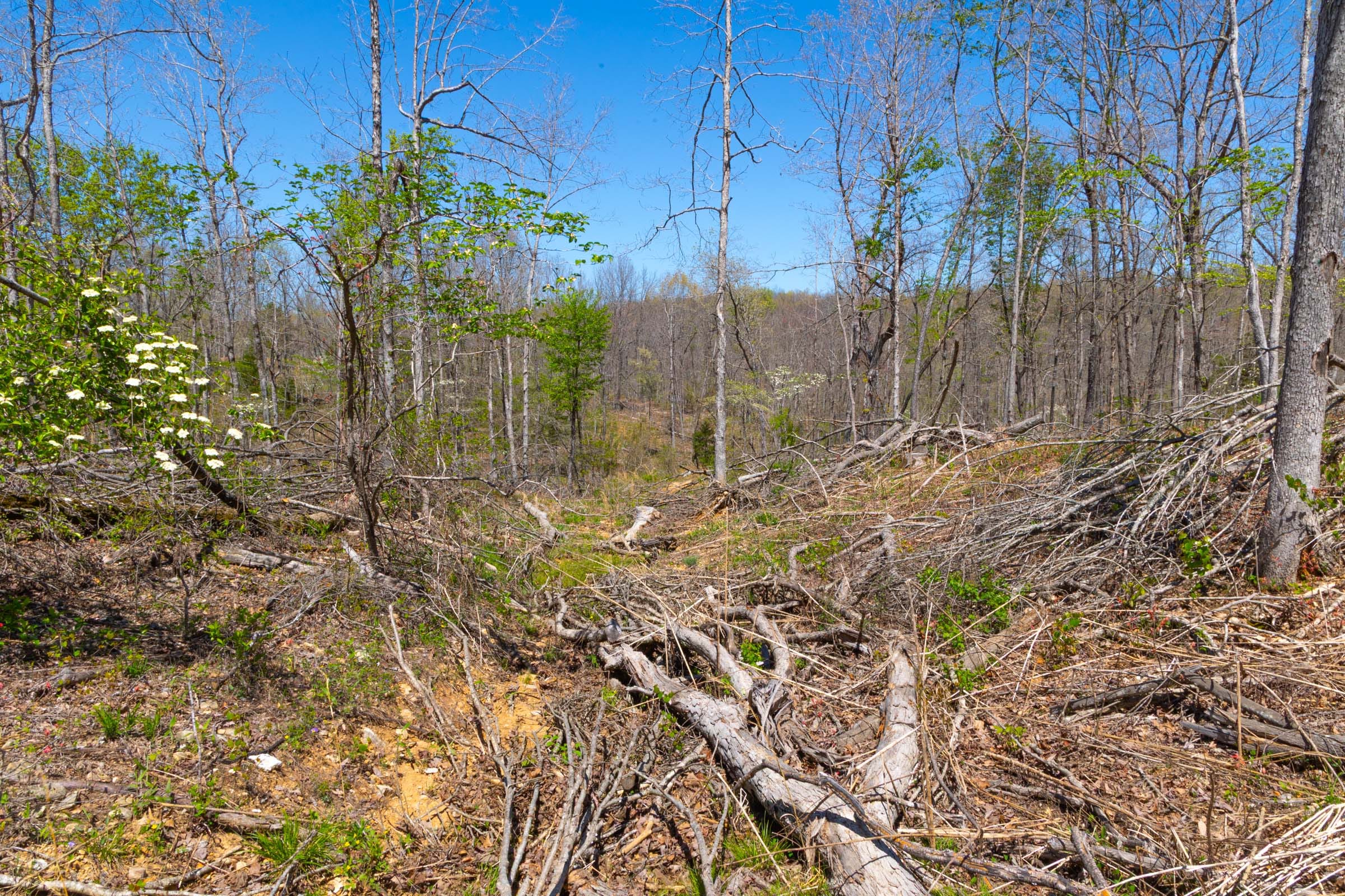 Lazybrook Tract 16 photo 11