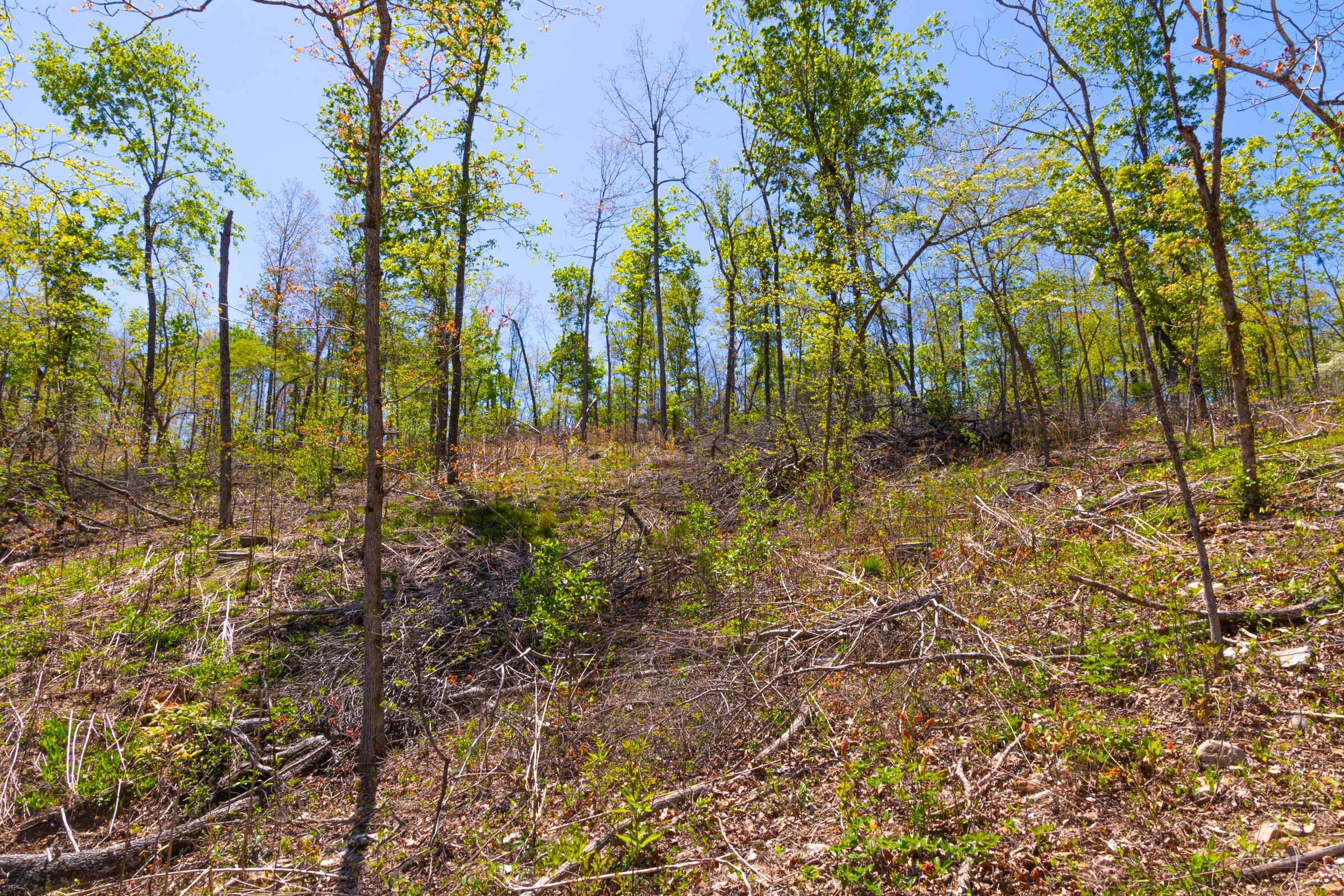 Lazybrook Tract 16 photo 9