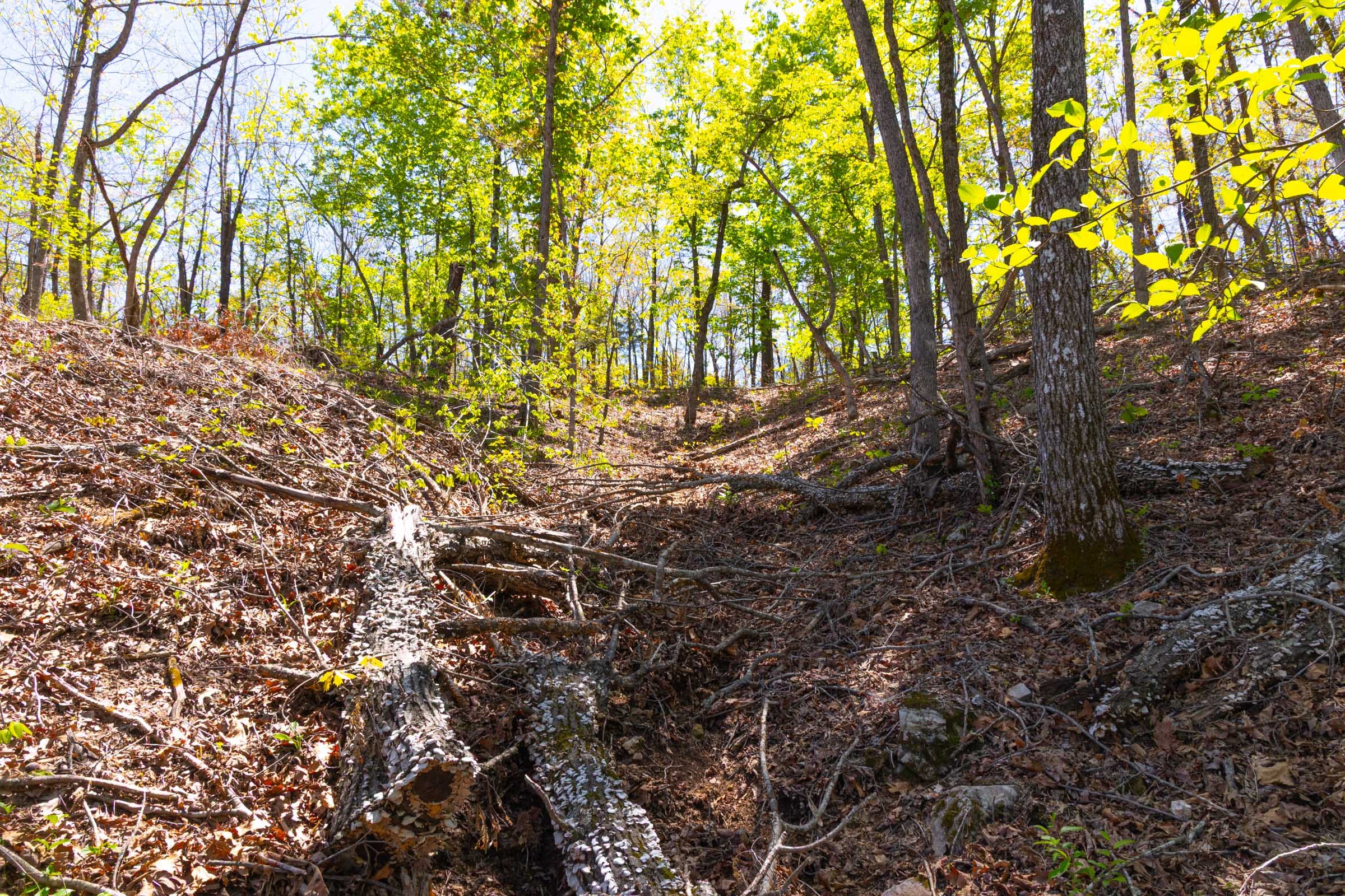 Lazybrook Tract 16 photo 12