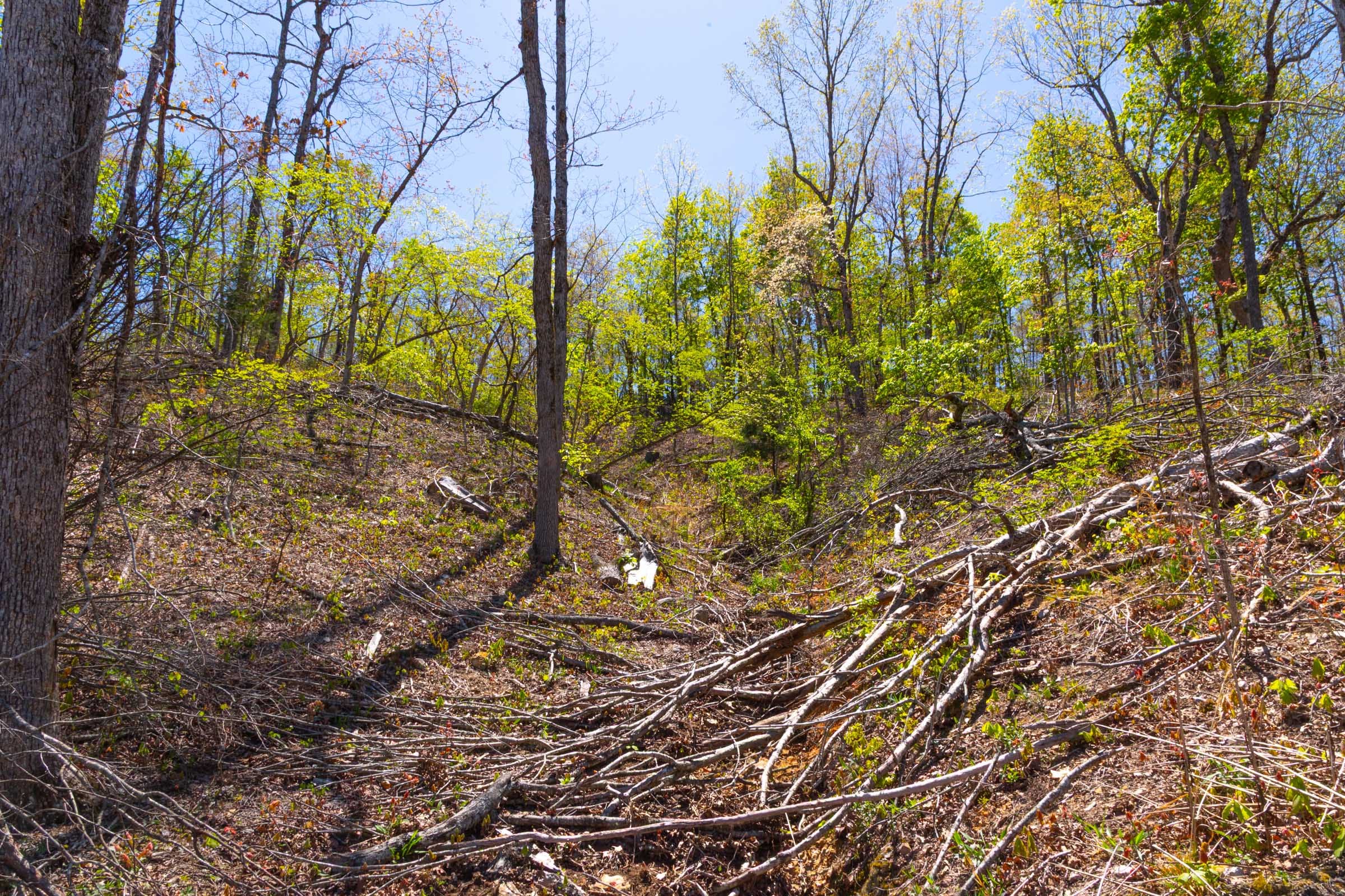 Lazybrook Tract 16 photo 4