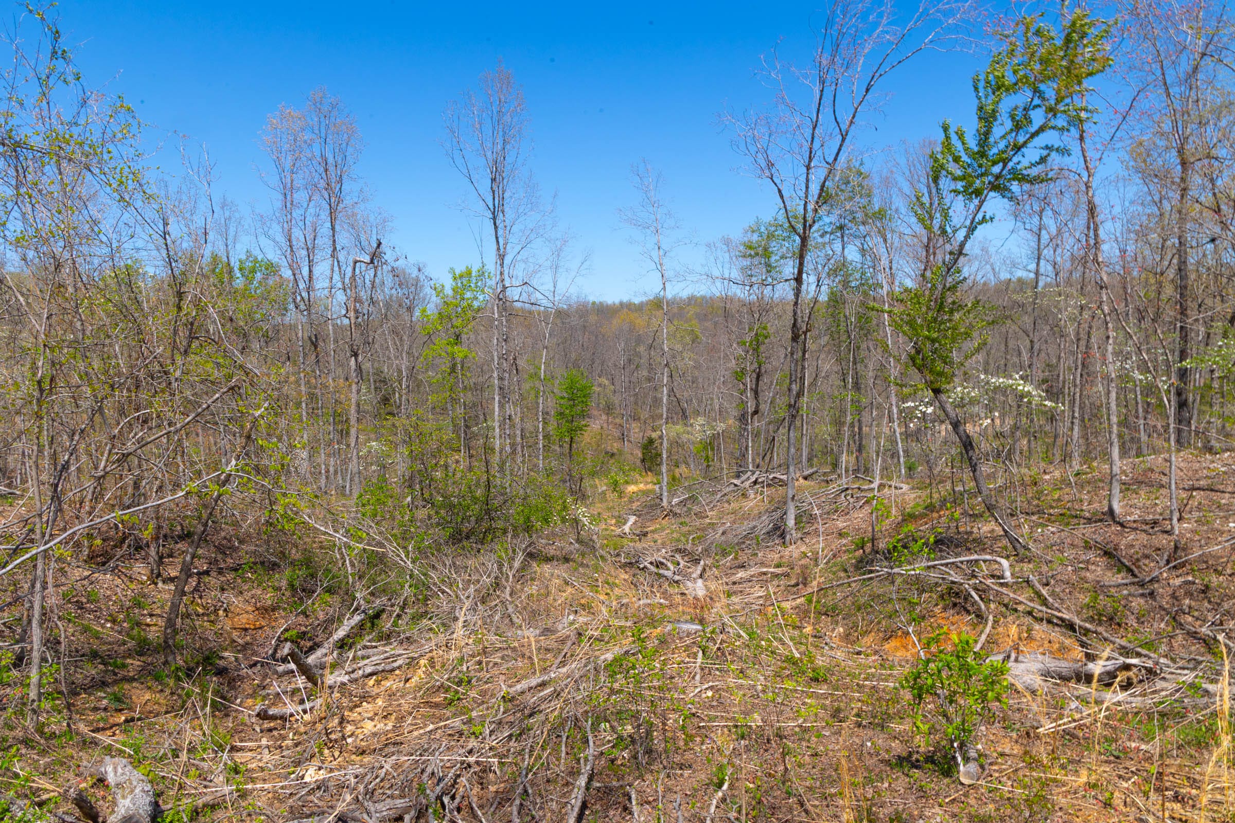 Lazybrook Tract 16 photo 5