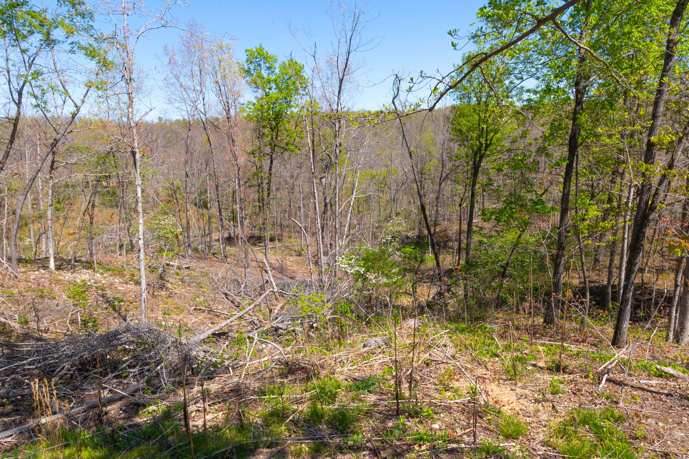 Lazybrook Tract 16 photo 6