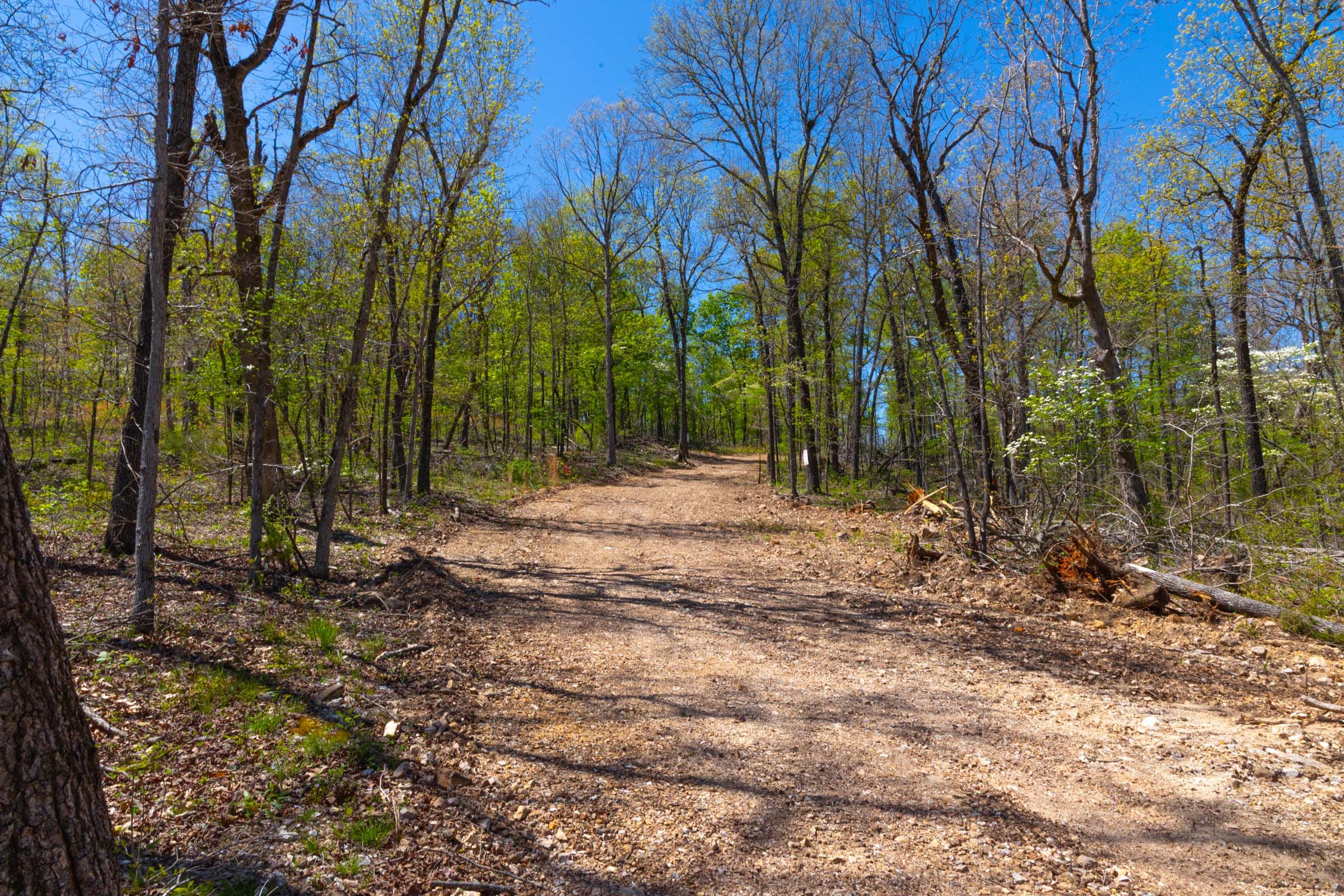 Lazybrook Tract 16 photo 1