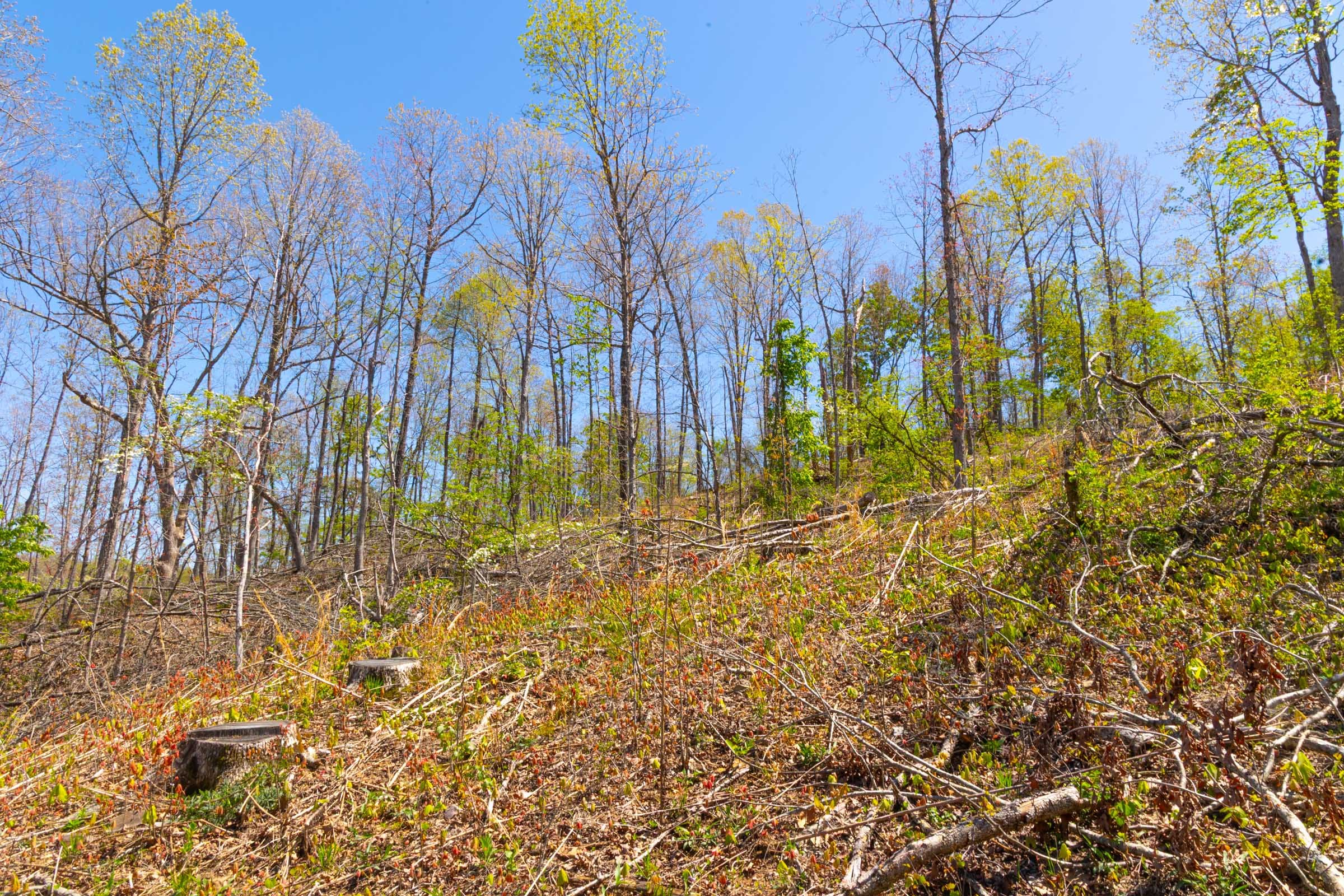 Lazybrook Tract 16 photo 8