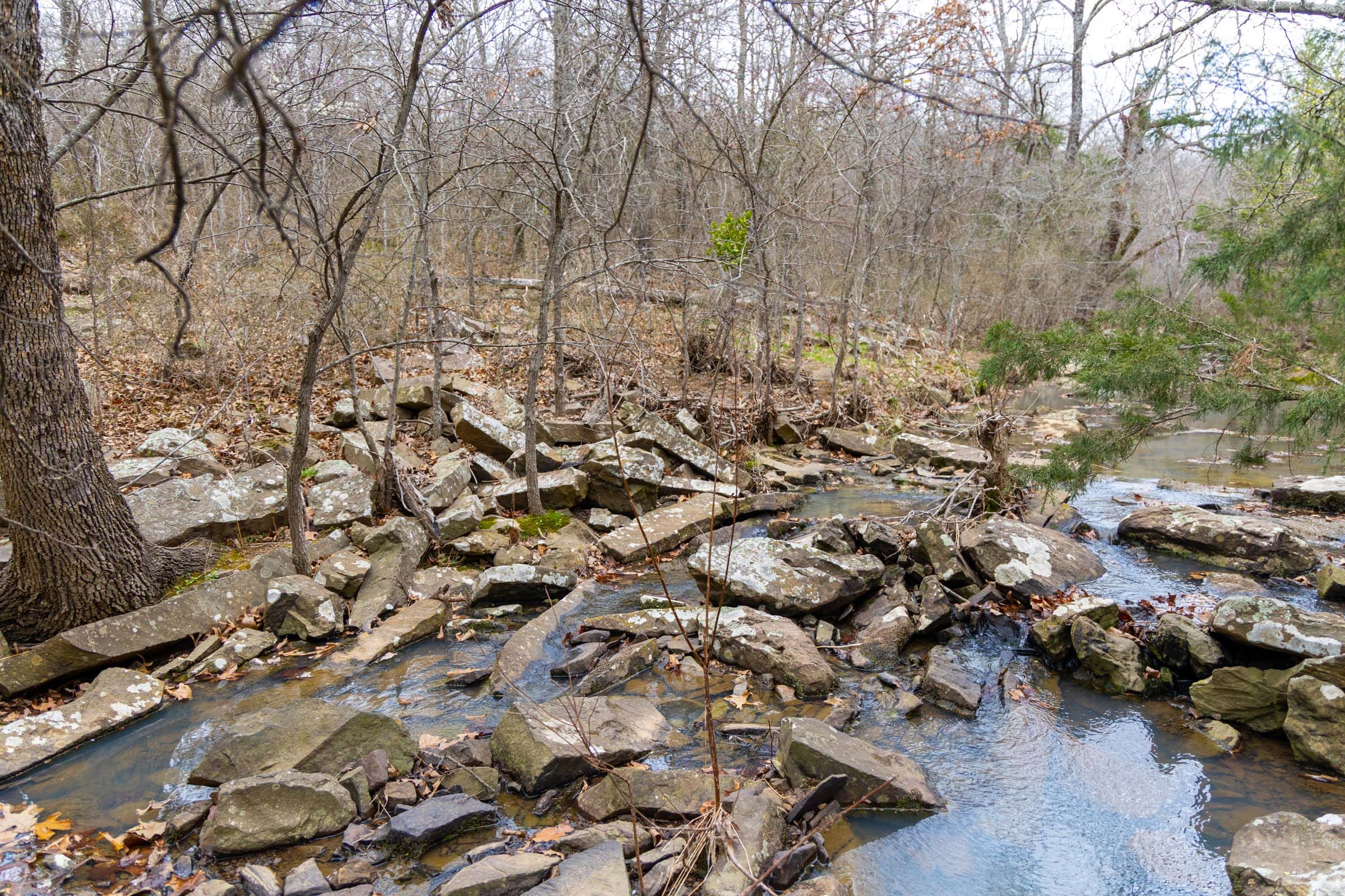 Reserves At Cattail Cove Phase II Tract 70 photo 5