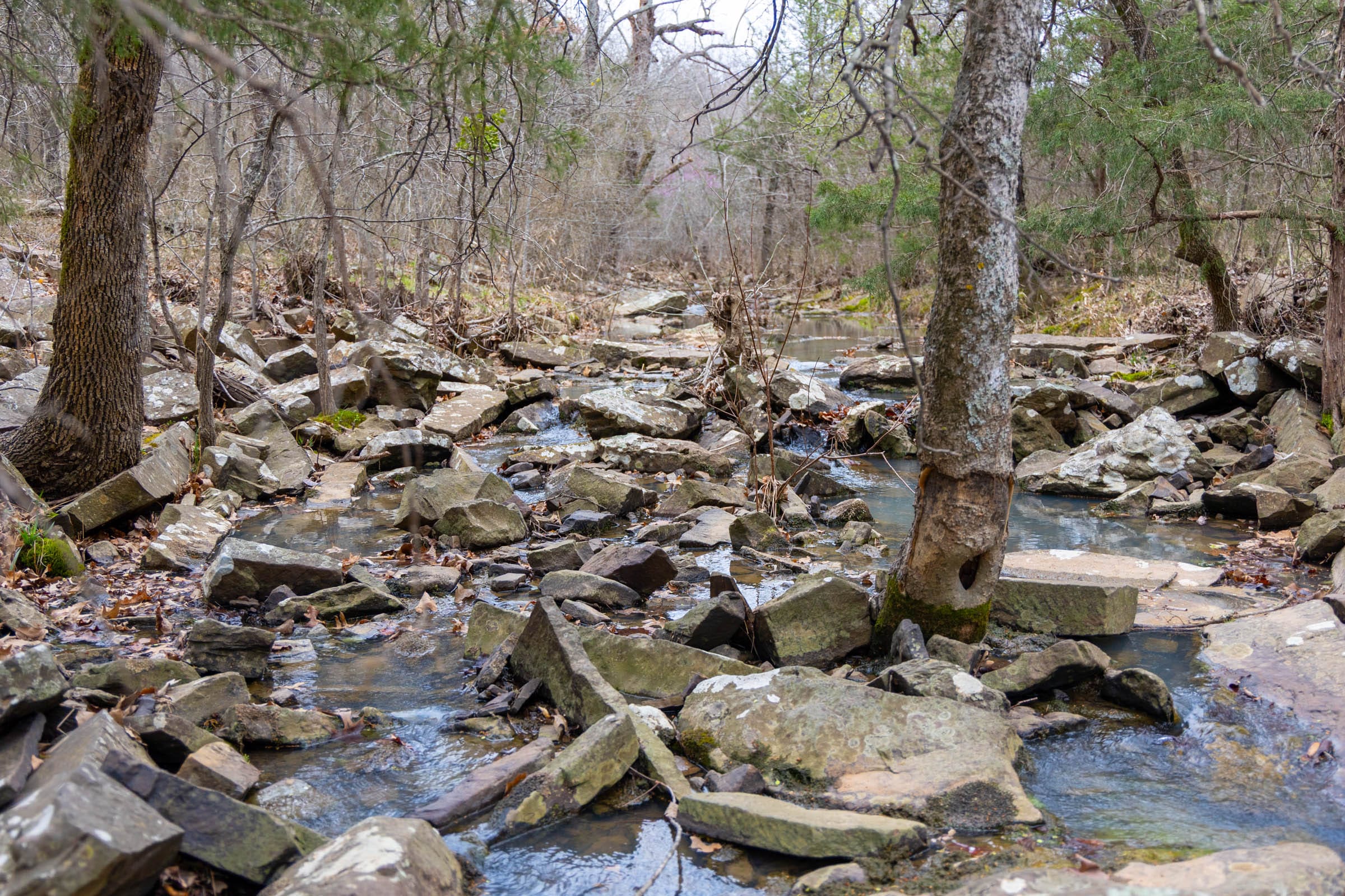 Reserves At Cattail Cove Phase II Tract 70 photo 6