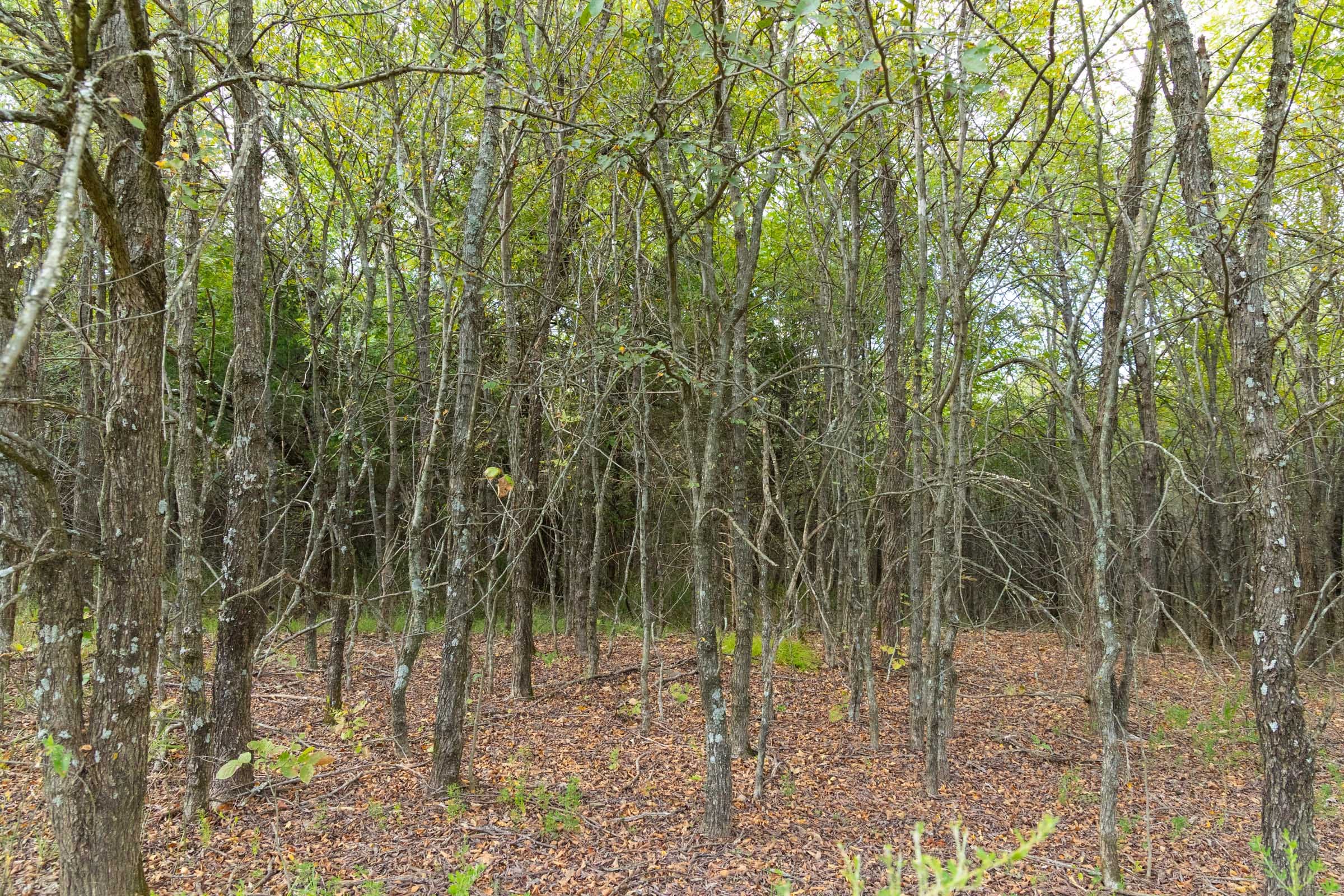 Reserves At Cattail Cove Phase II Tract 70 photo 12