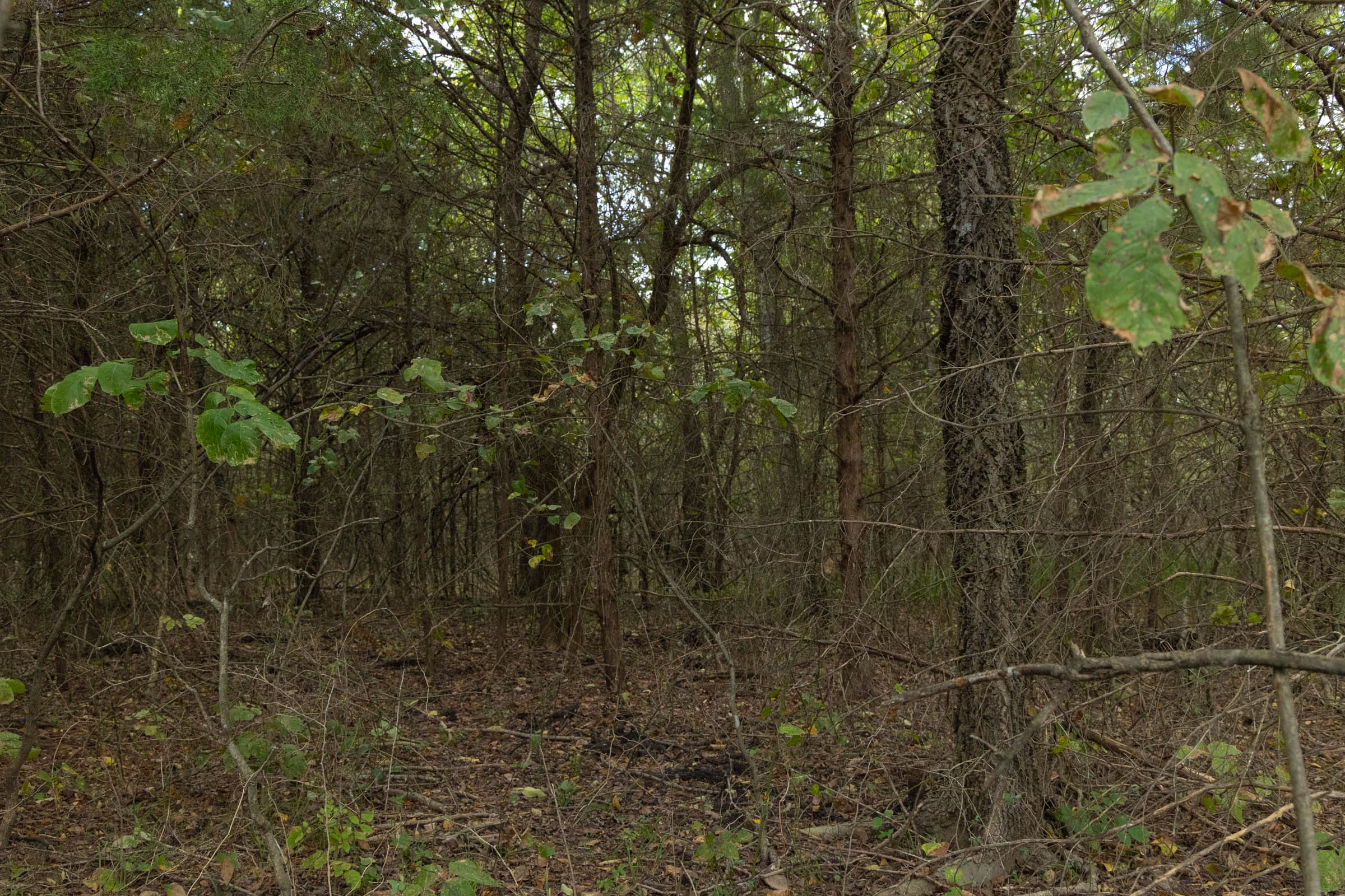 Reserves At Cattail Cove Phase II Tract 70 photo 11