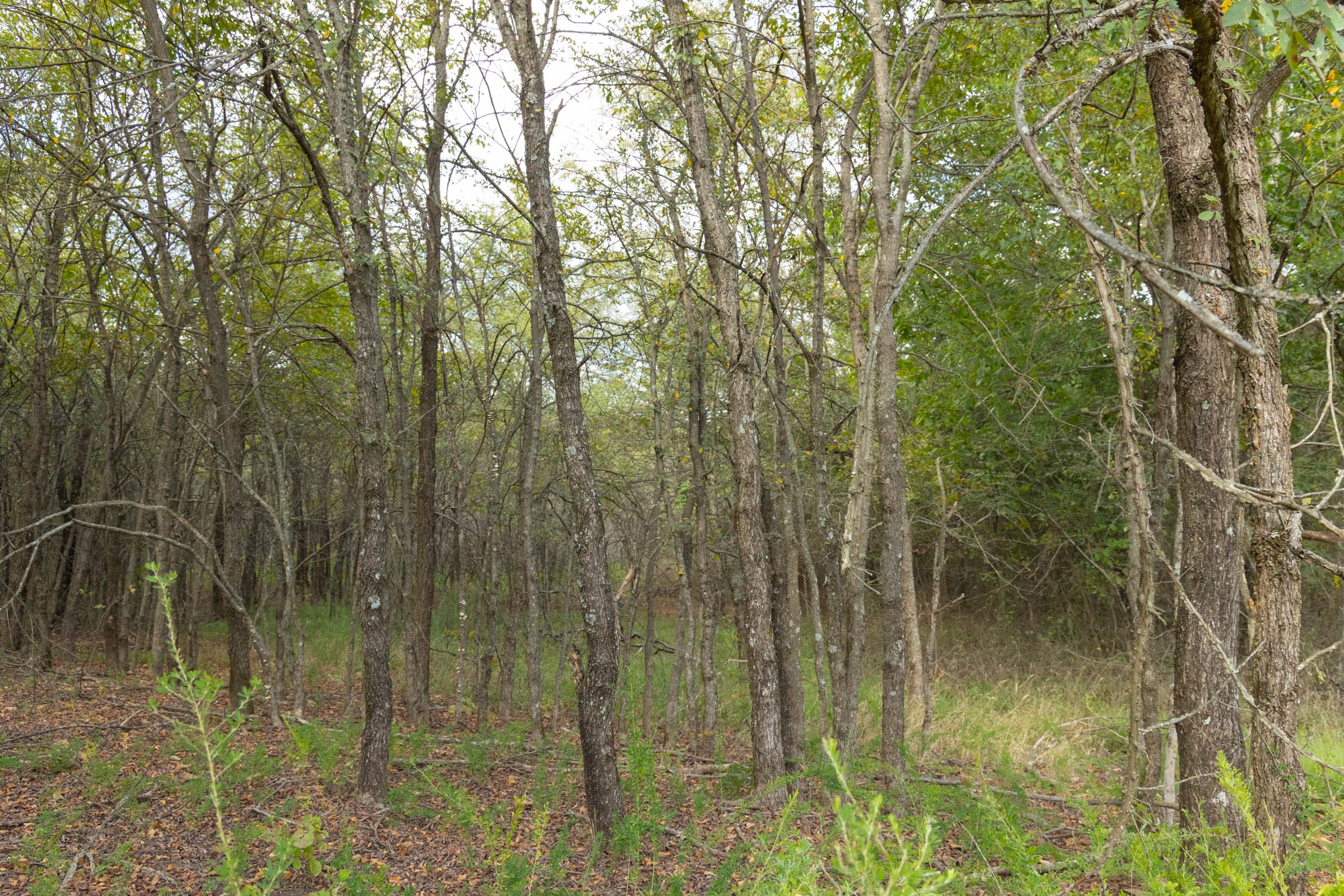 Reserves At Cattail Cove Phase II Tract 70 photo 10