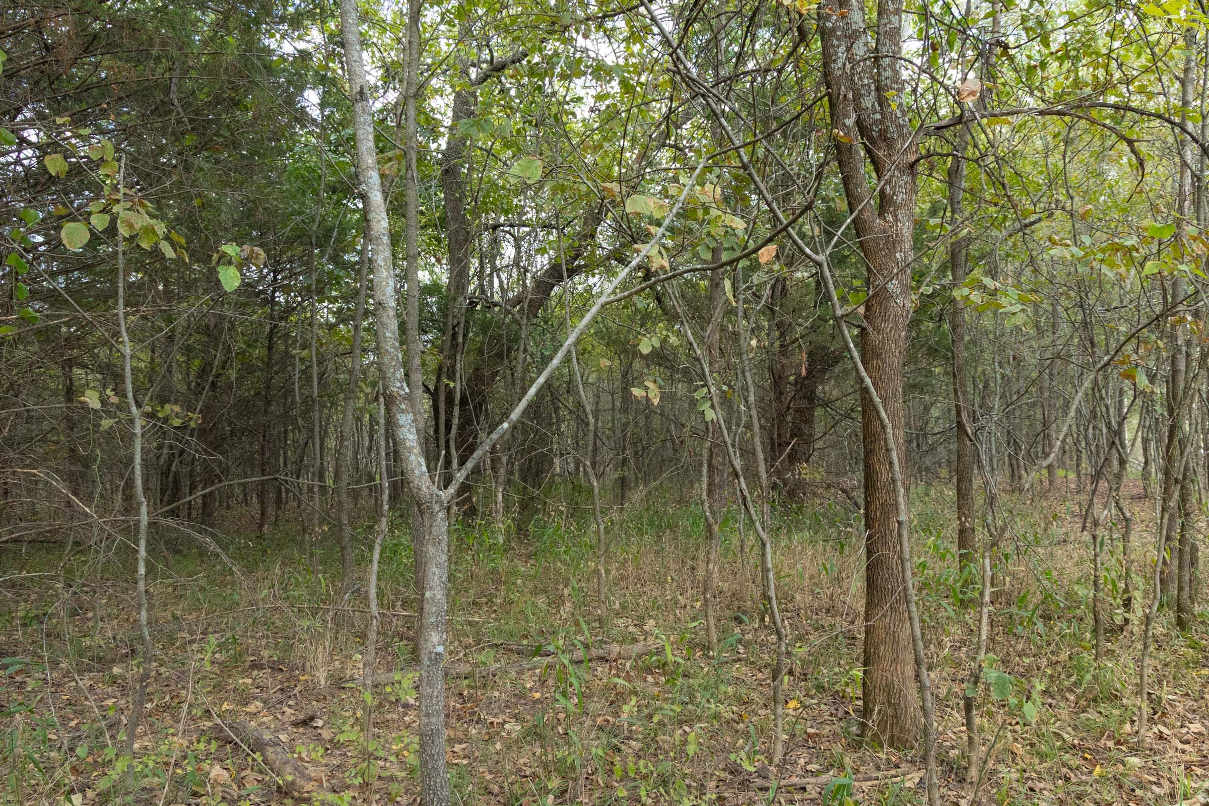 Reserves At Cattail Cove Phase II Tract 70 photo 9