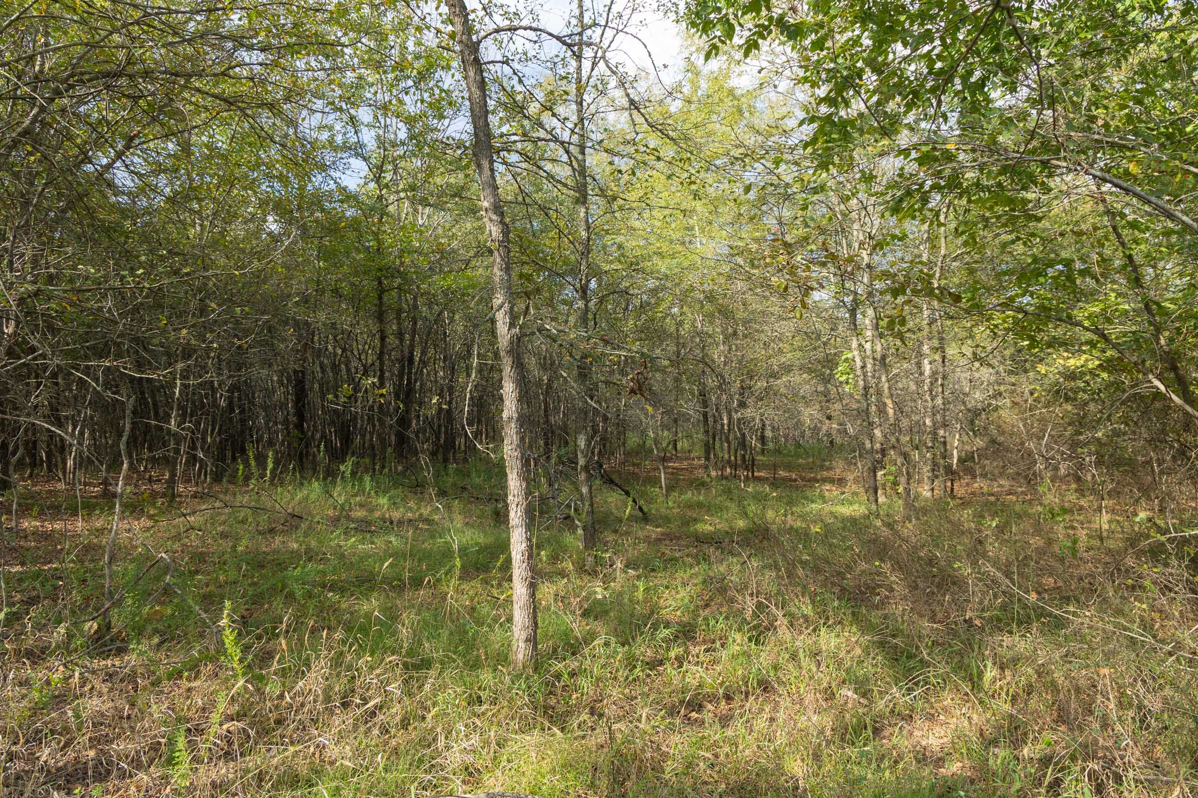Reserves At Cattail Cove Phase II Tract 70 photo 8