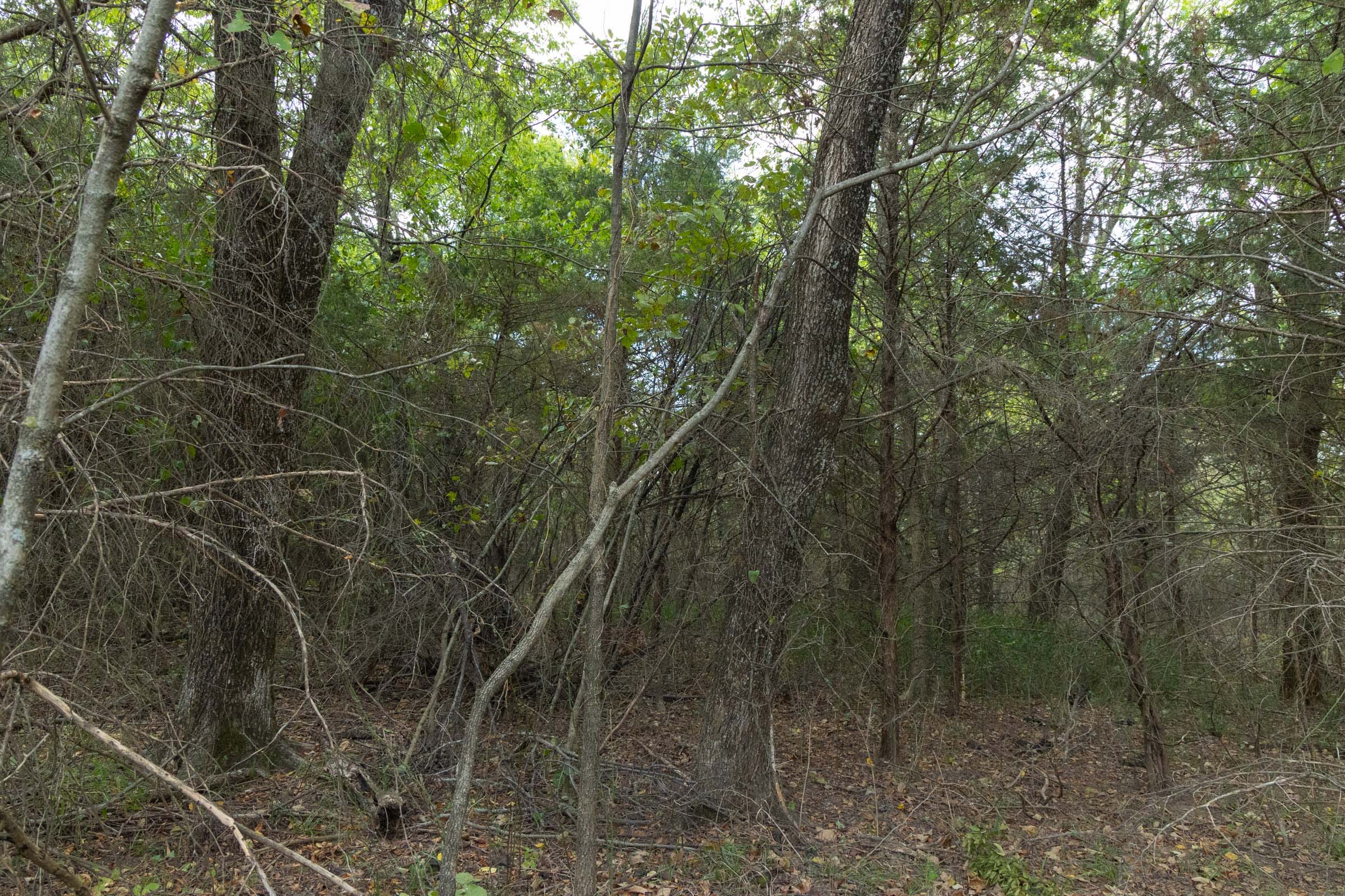 Reserves At Cattail Cove Phase II Tract 70 photo 7