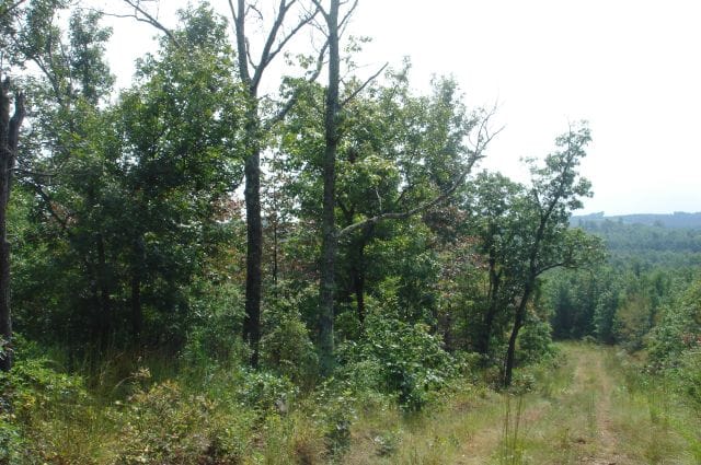 Sugartree Falls Tract 34 photo 1