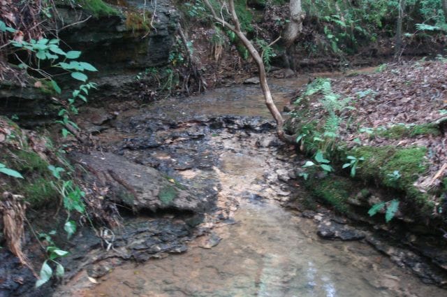 Sugartree Falls Tract 34 photo 4