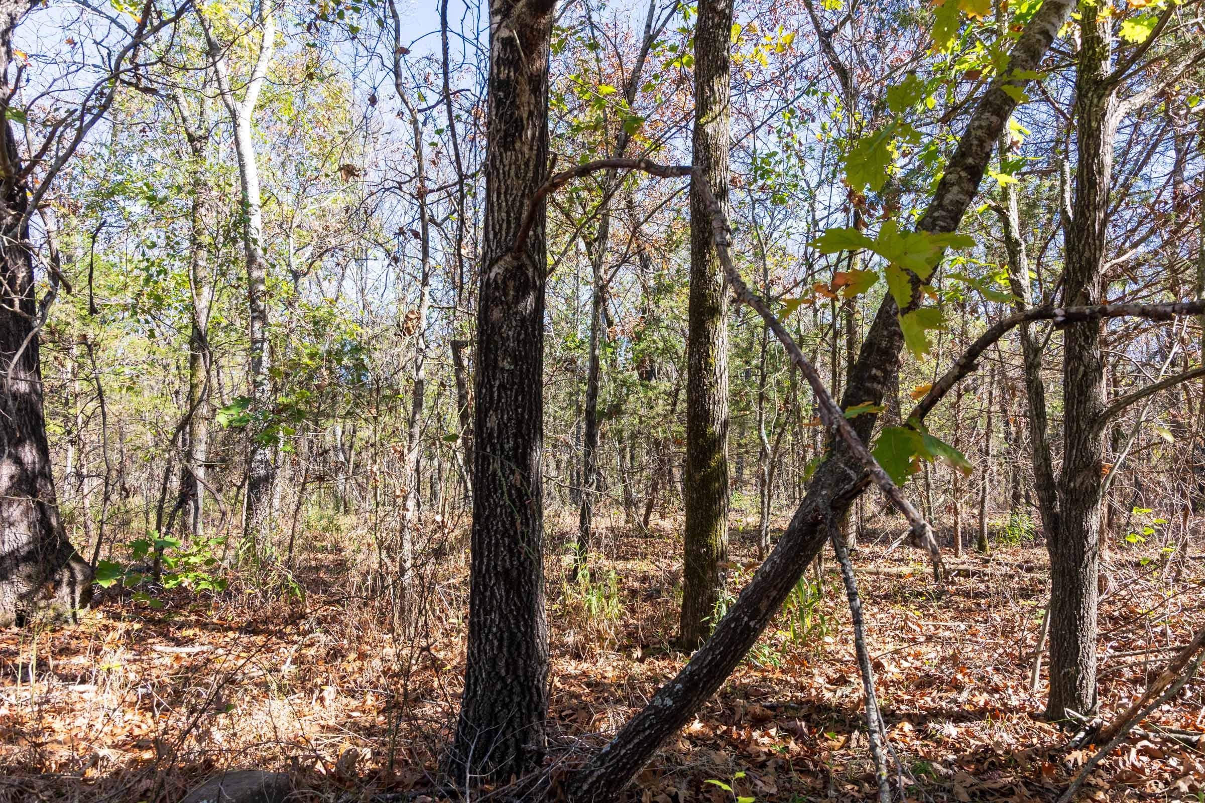 Stone Bridge Reserve Tract 10 photo 7
