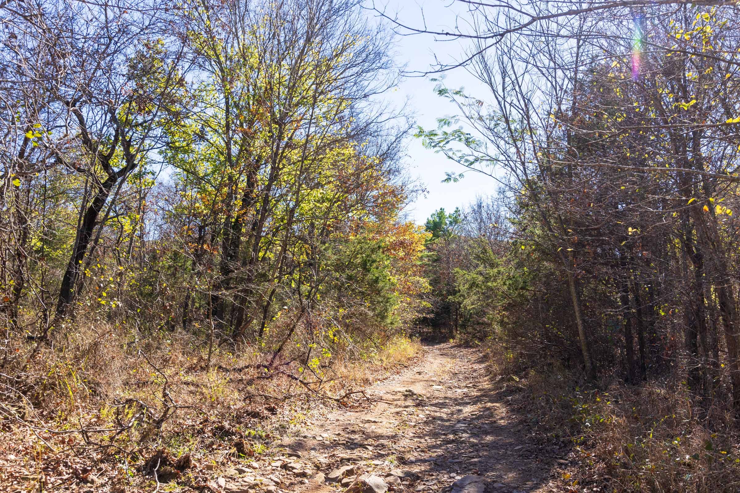 Stone Bridge Reserve Tract 10 photo 5