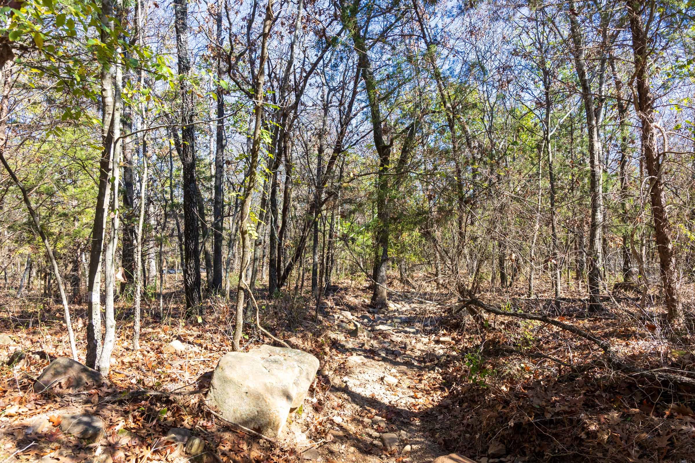 Stone Bridge Reserve Tract 10 photo 6