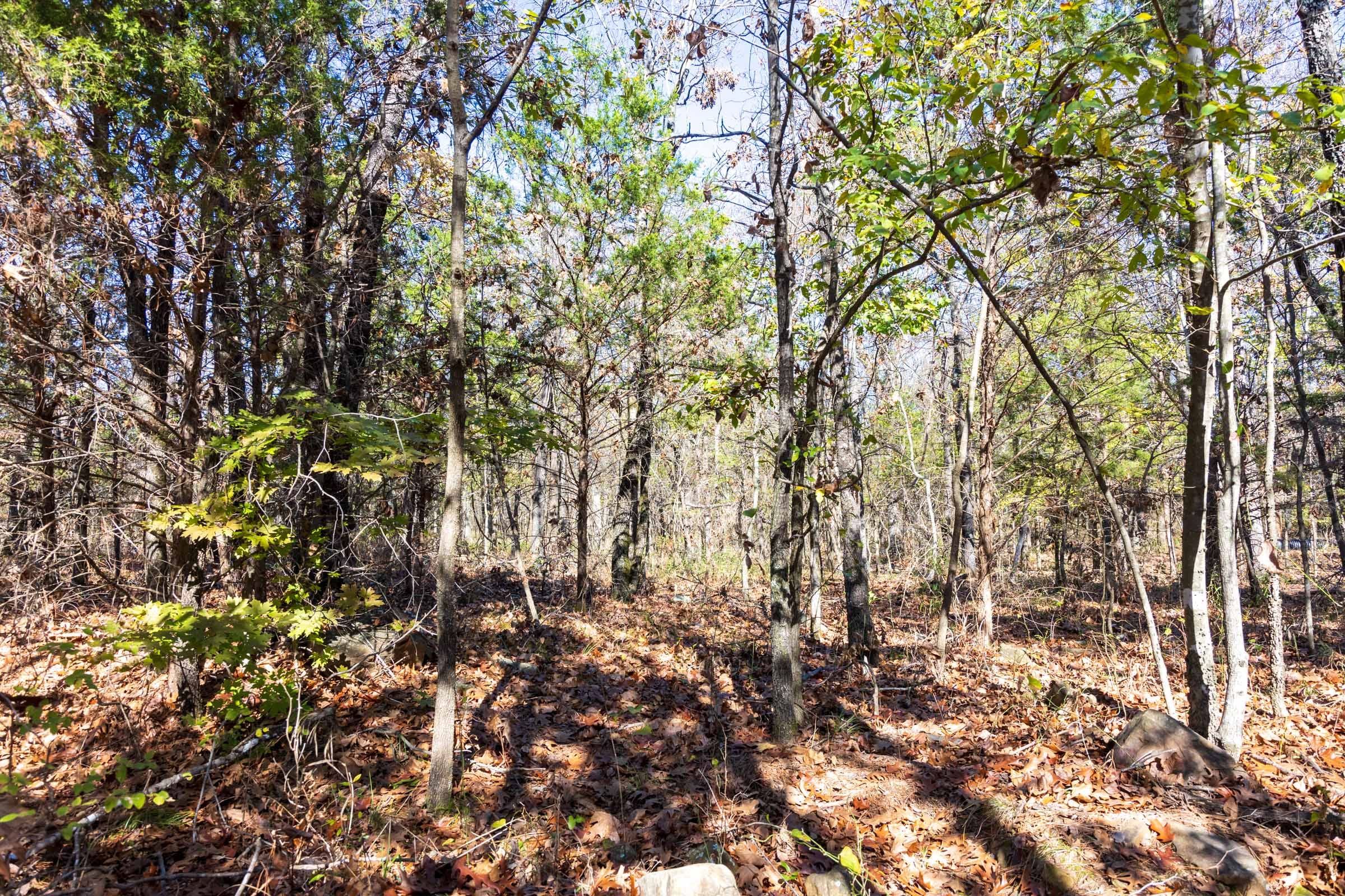 Stone Bridge Reserve Tract 10 photo 4