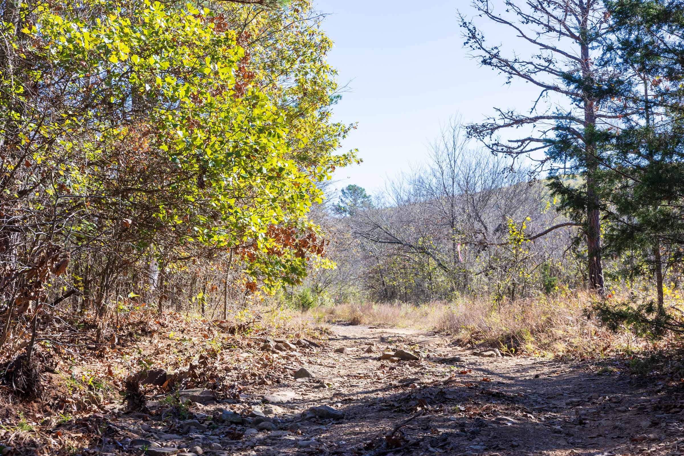 Stone Bridge Reserve Tract 10 photo 1