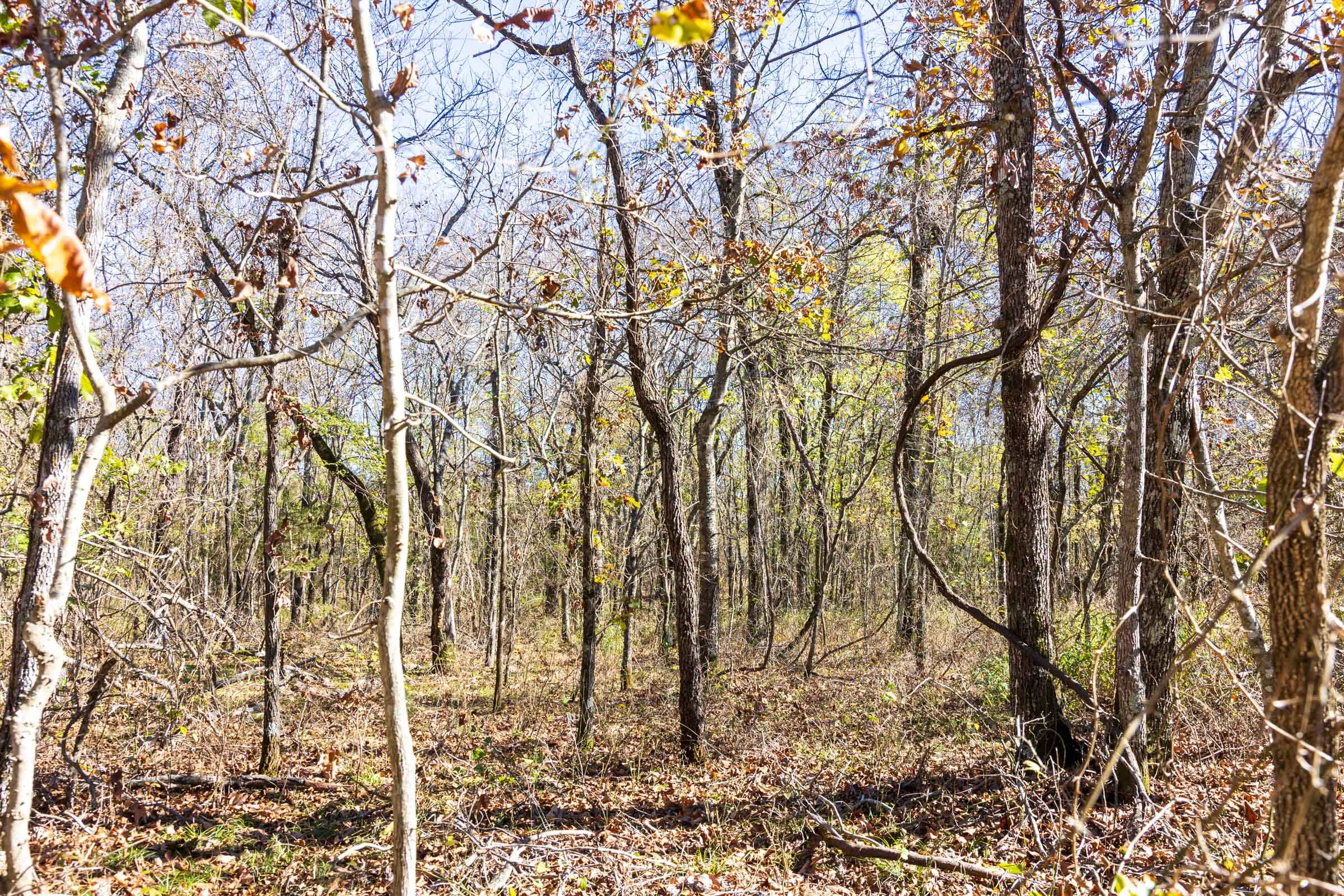 Stone Bridge Reserve Tract 10 photo 2