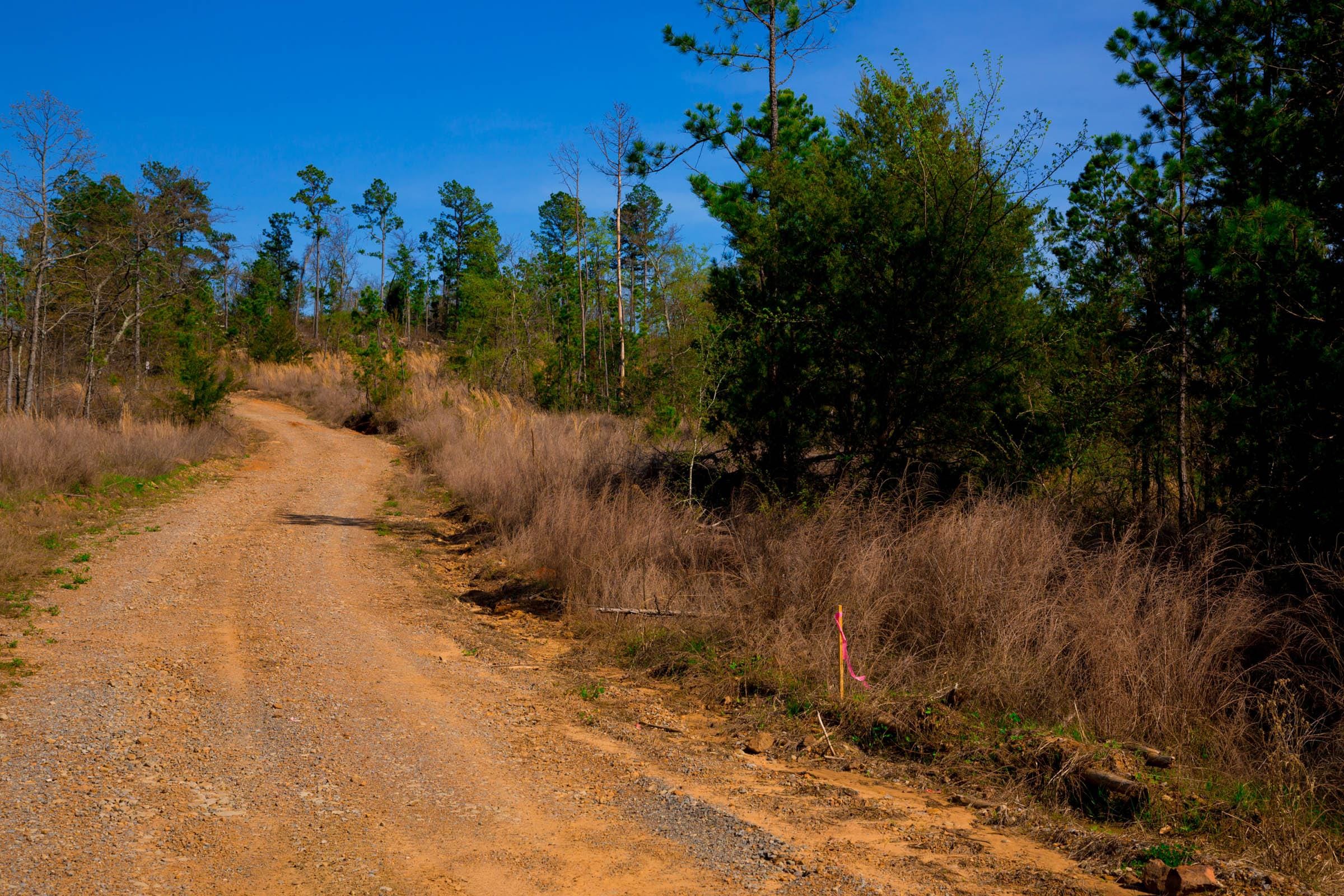 Stone Creek Phase II Tract 233 photo 5