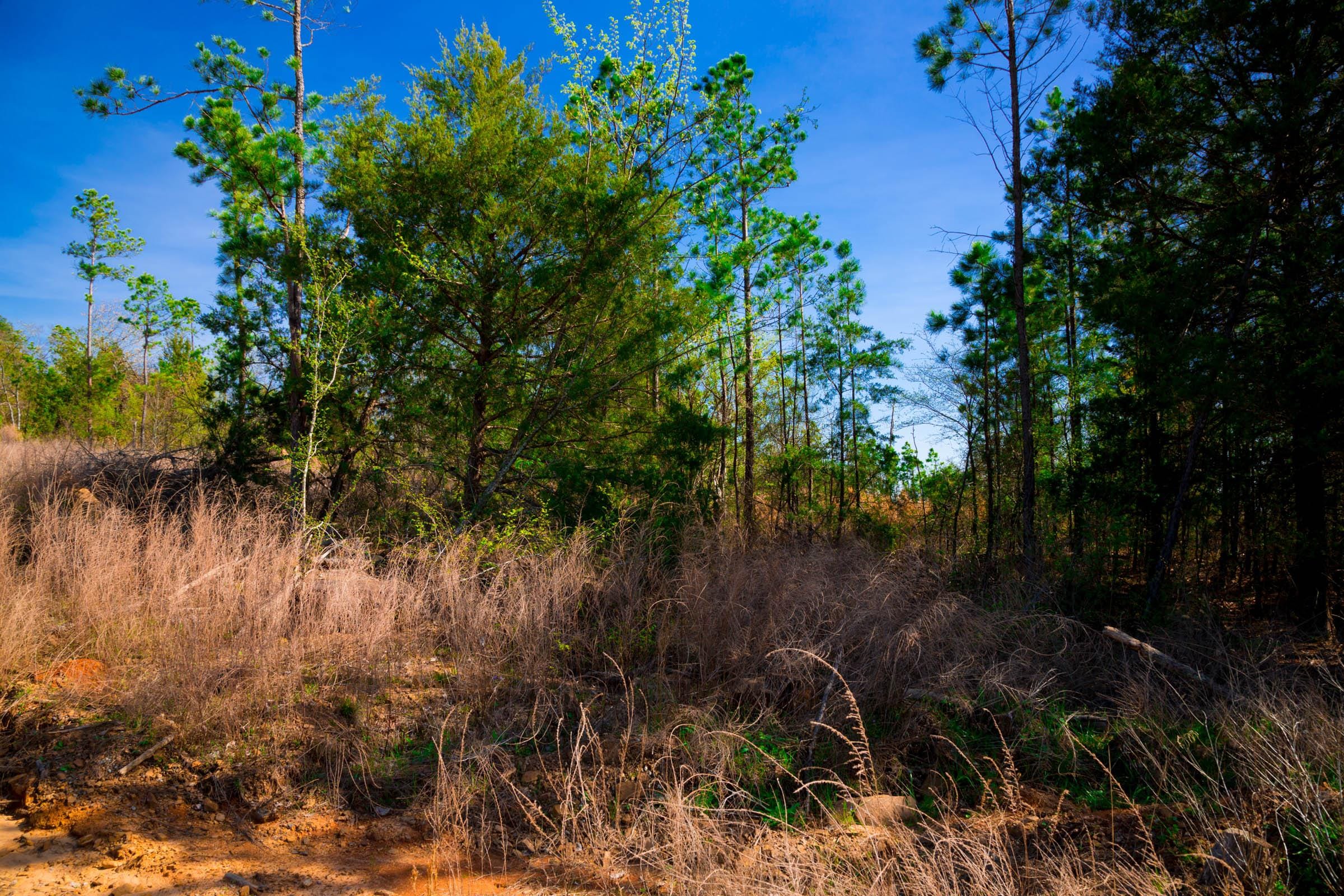 Stone Creek Phase II Tract 233 photo 3