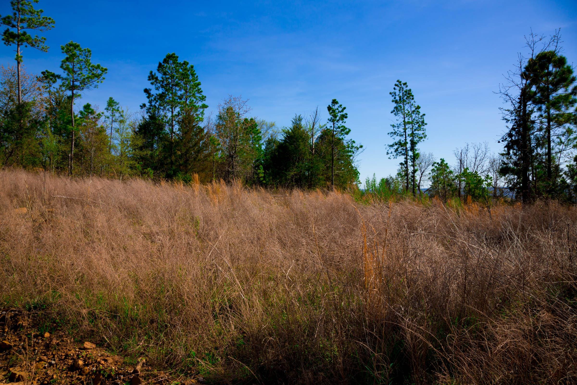 Stone Creek Phase II Tract 233 photo 4