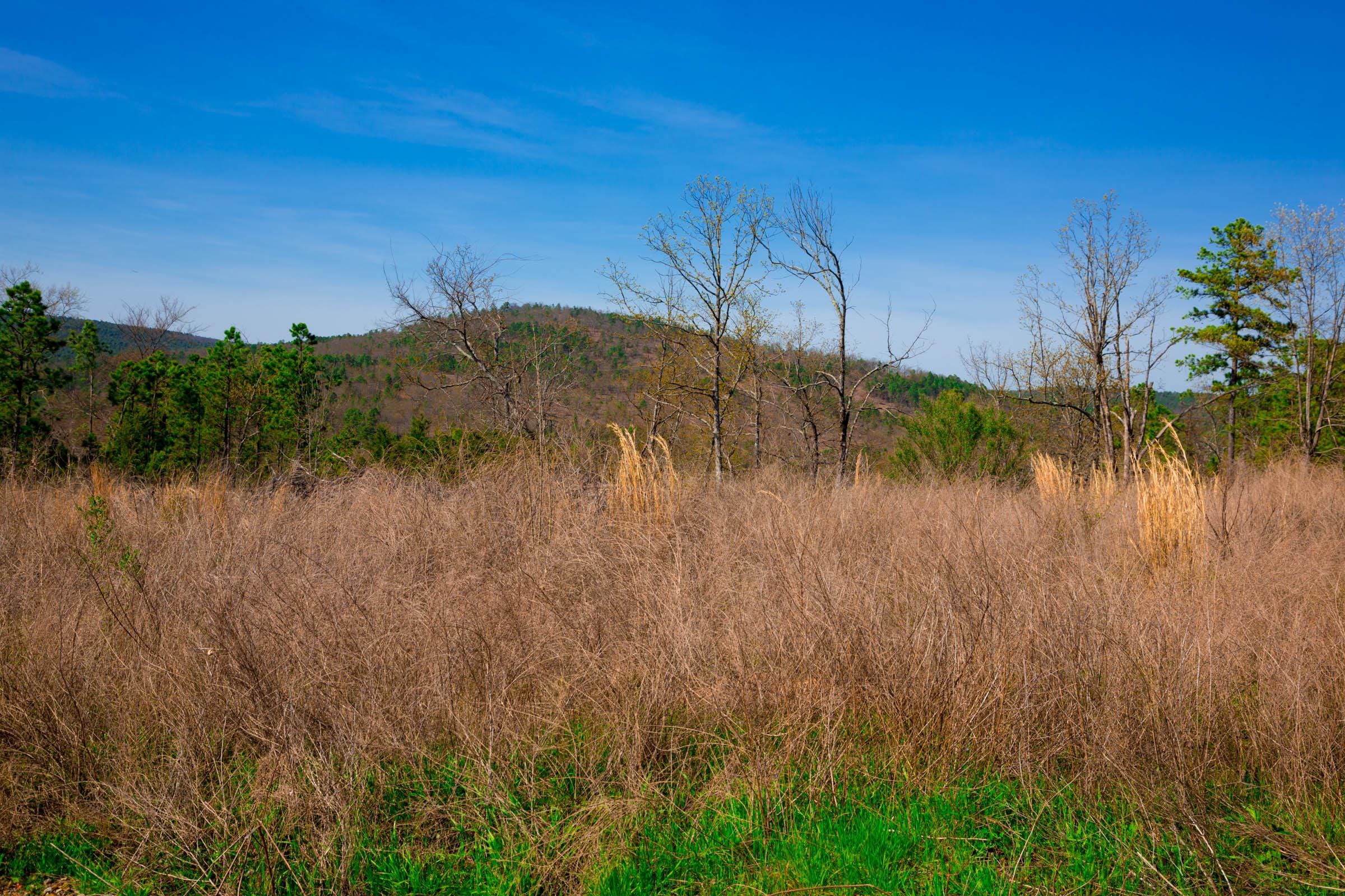 Stone Creek Phase II Tract 233 photo 6