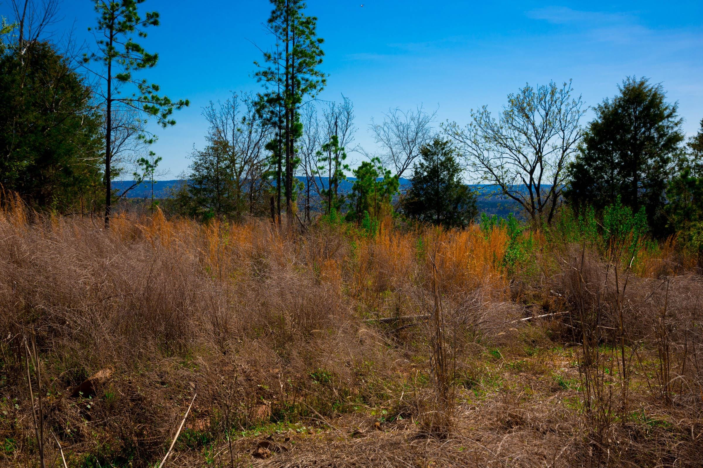 Stone Creek Phase II Tract 233 photo 7