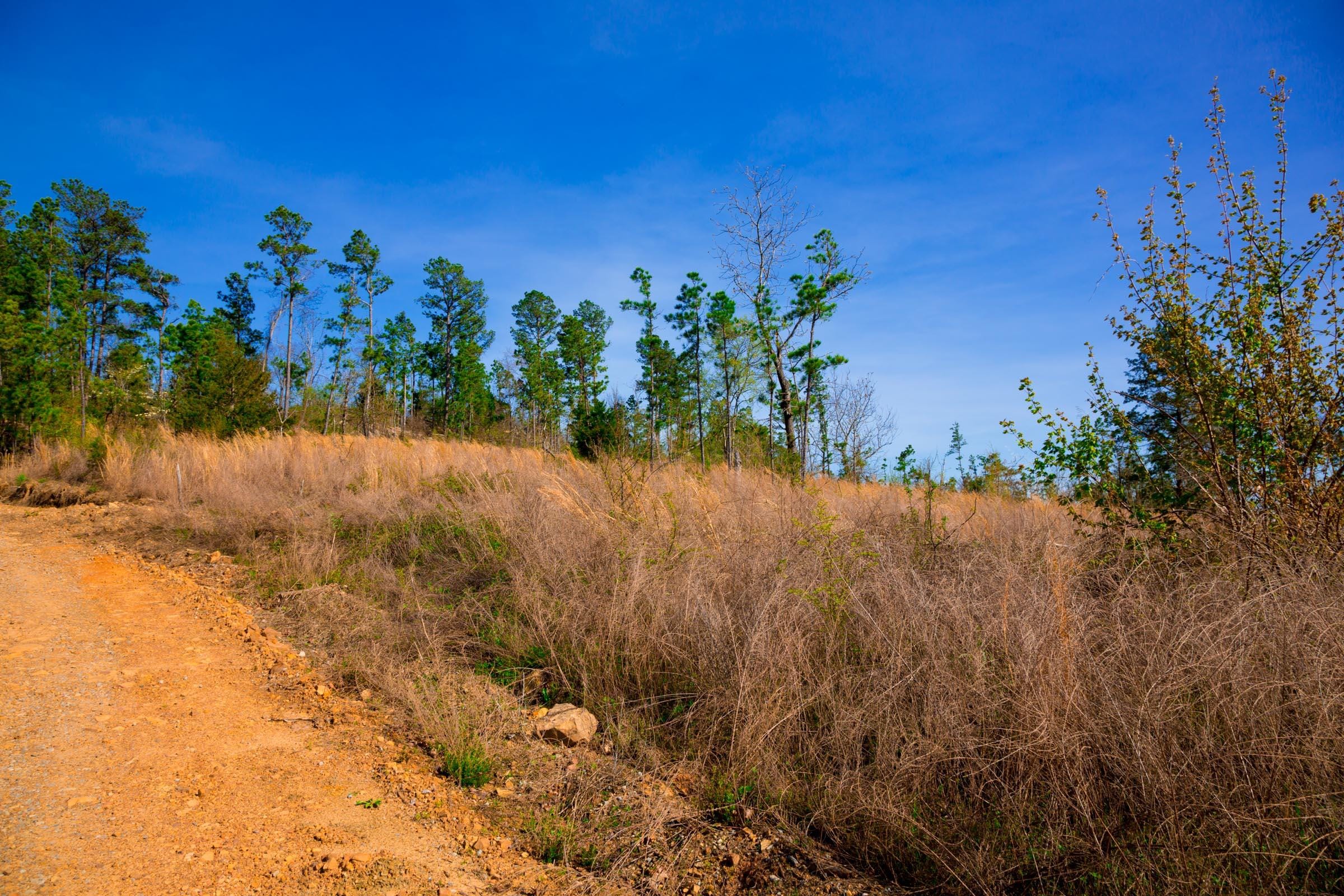Stone Creek Phase II Tract 233 photo 16